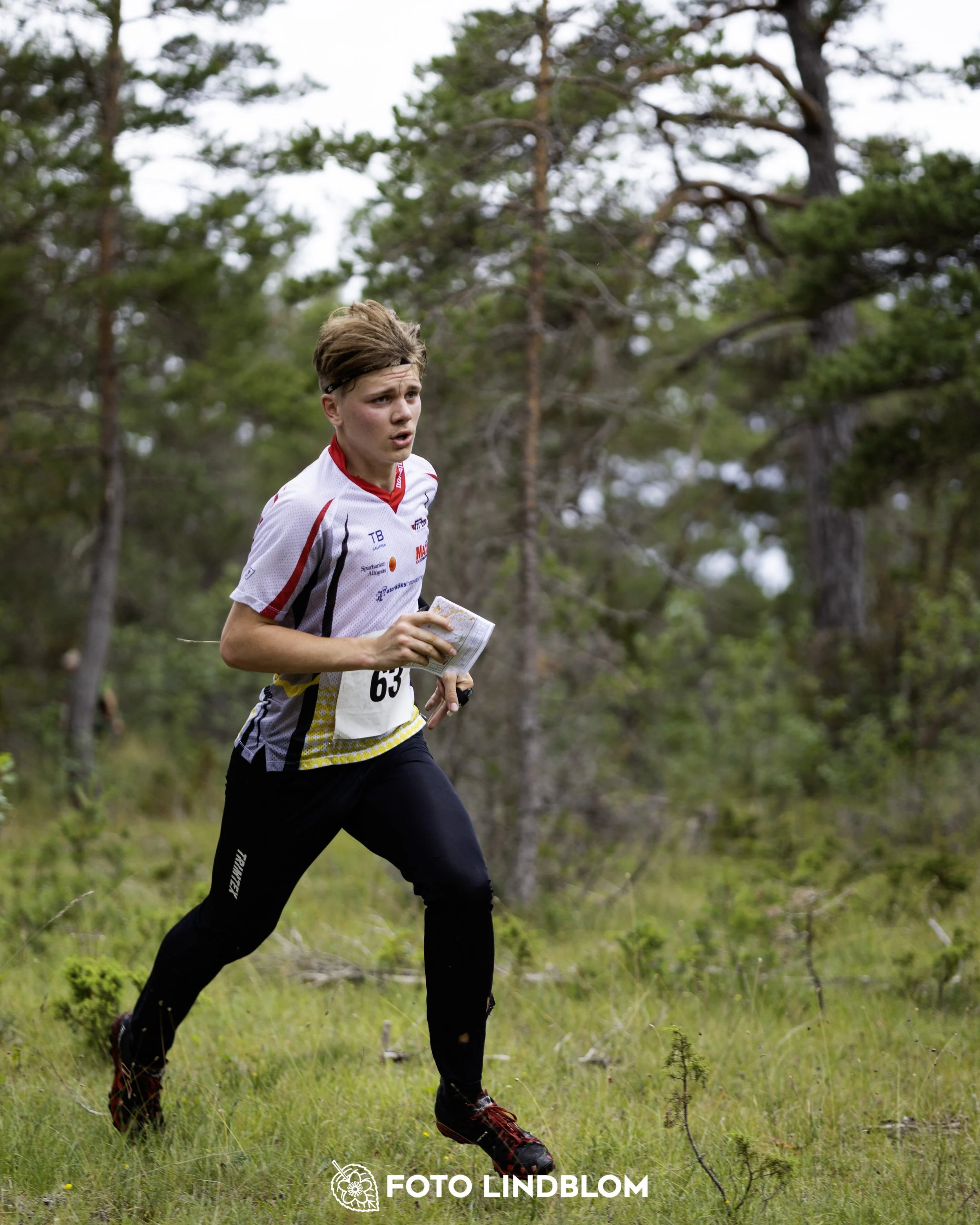 A picture from the Gotlands 2-Dagars orienteering competition