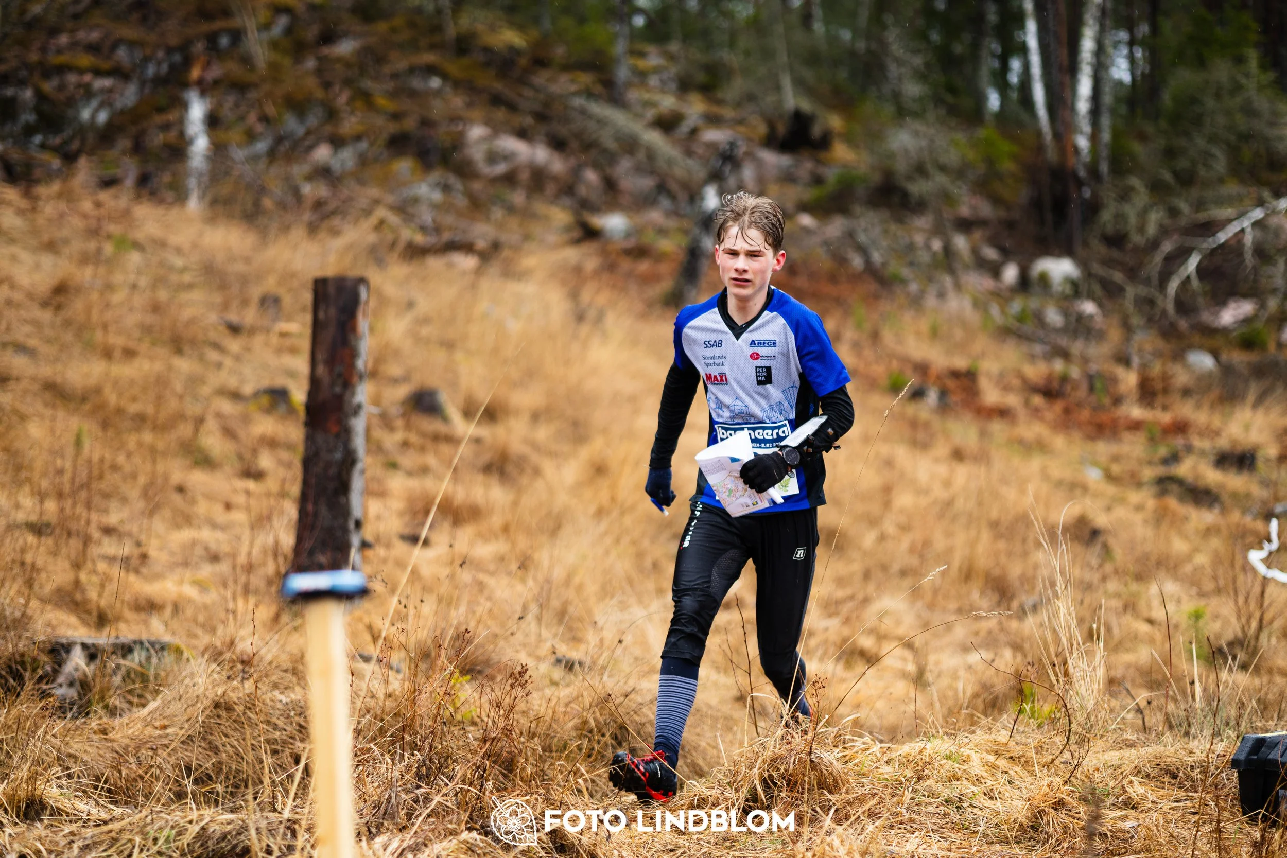A photo from a Swedish orienteering league race in Kolmården during spring 2026, captured by Foto Lindblom.