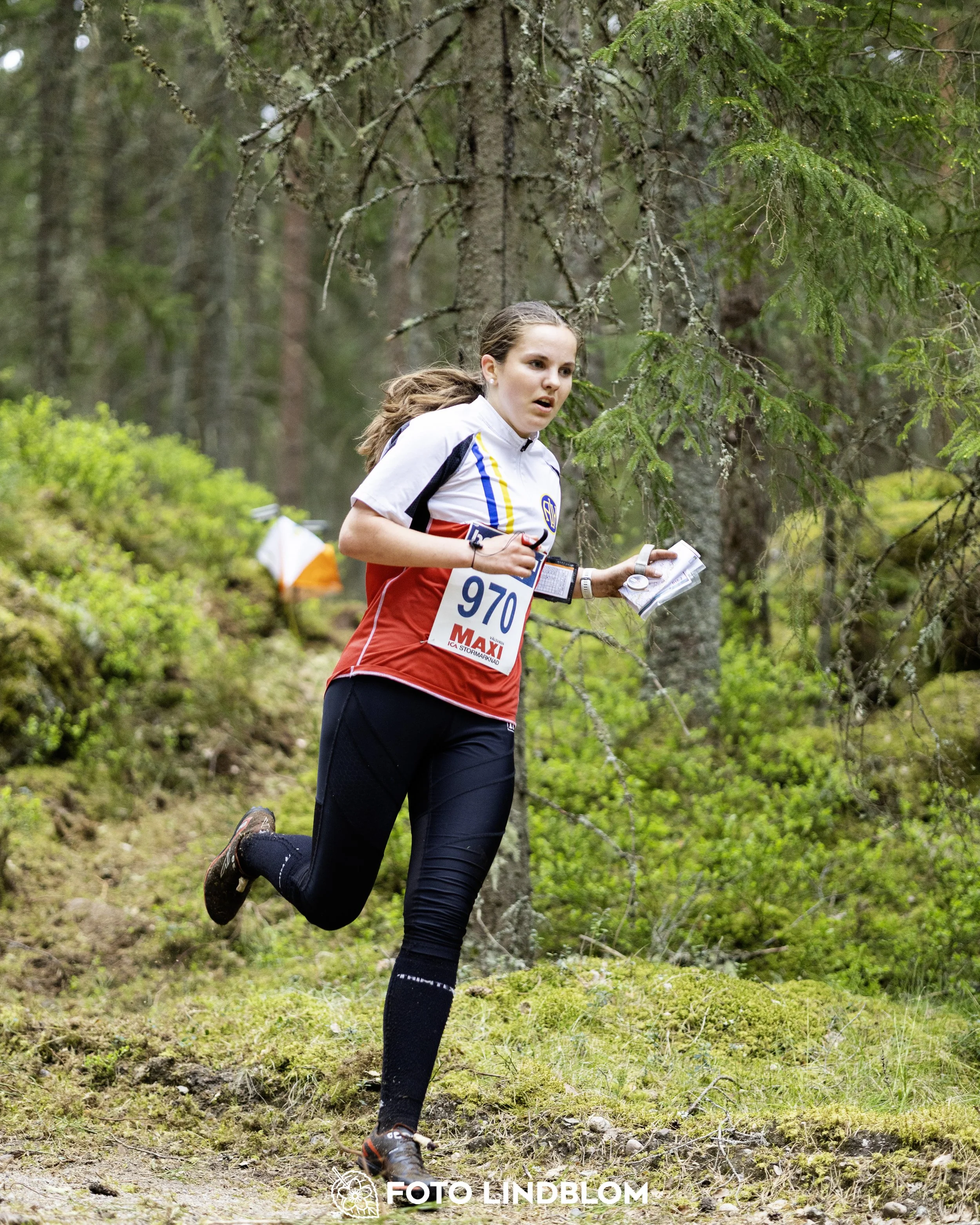 A picture from the Swedish national championship in middle distance orienteering and Swedish league race