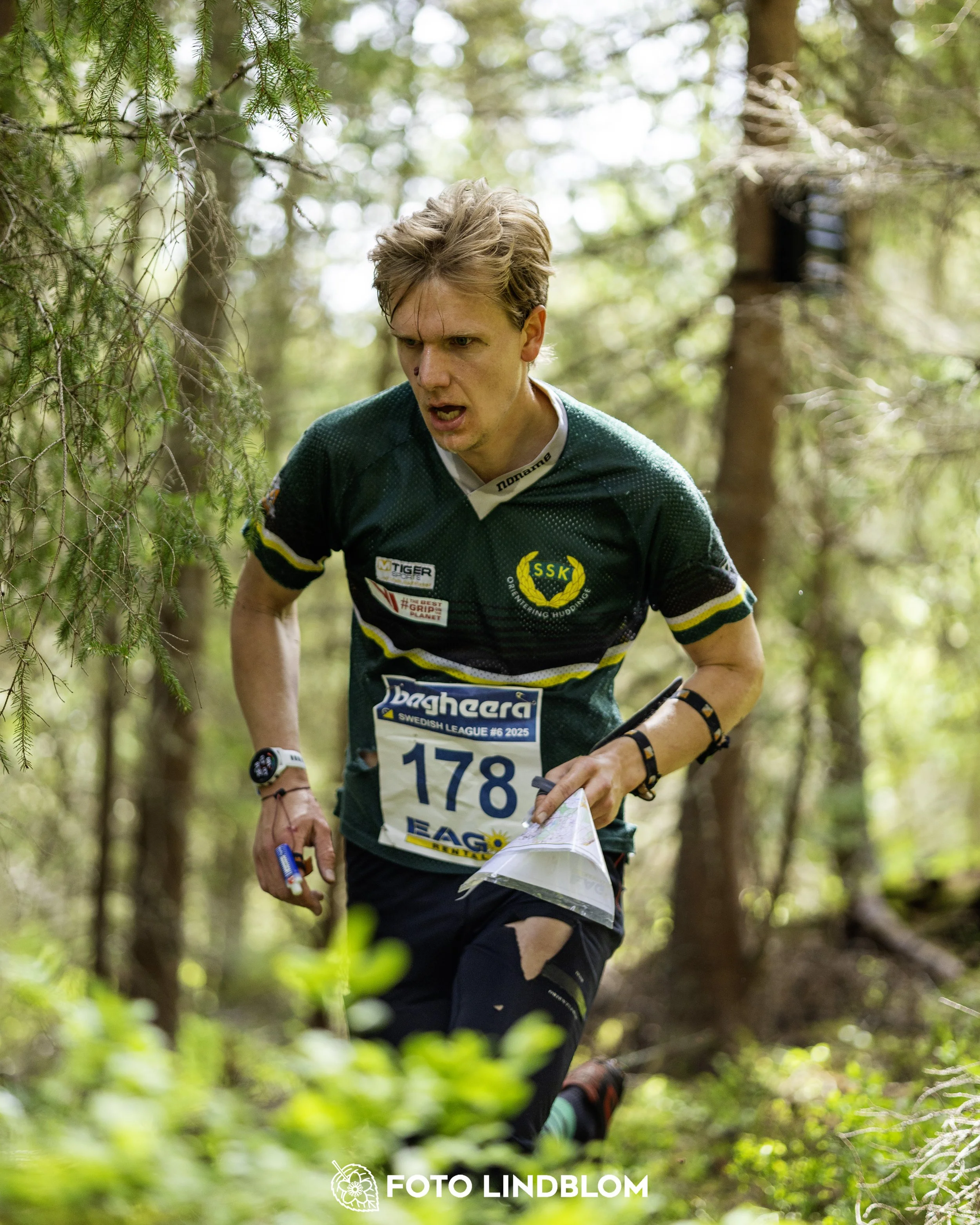 A picture from the seventh stage of the Swedish League orienteering competition