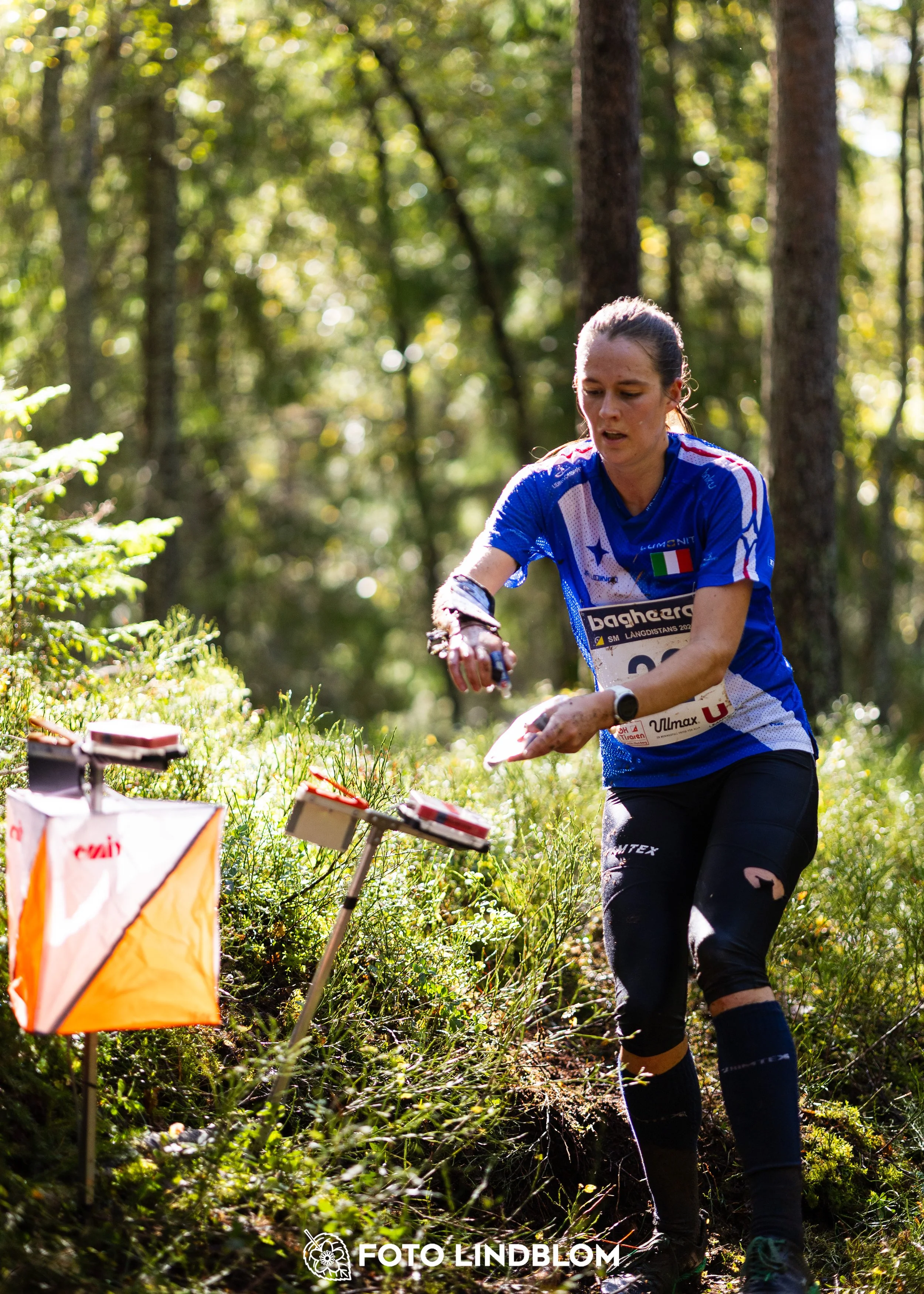 A picture from the Swedish national championship in long distance orienteering and Swedish league race taken by Foto Lindblom