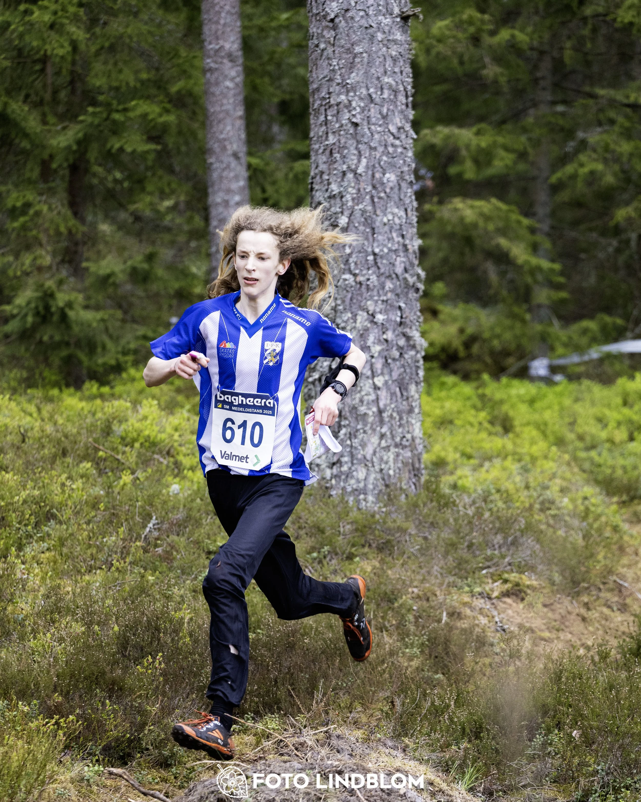 A picture from the Swedish national championship in middle distance orienteering and Swedish league race