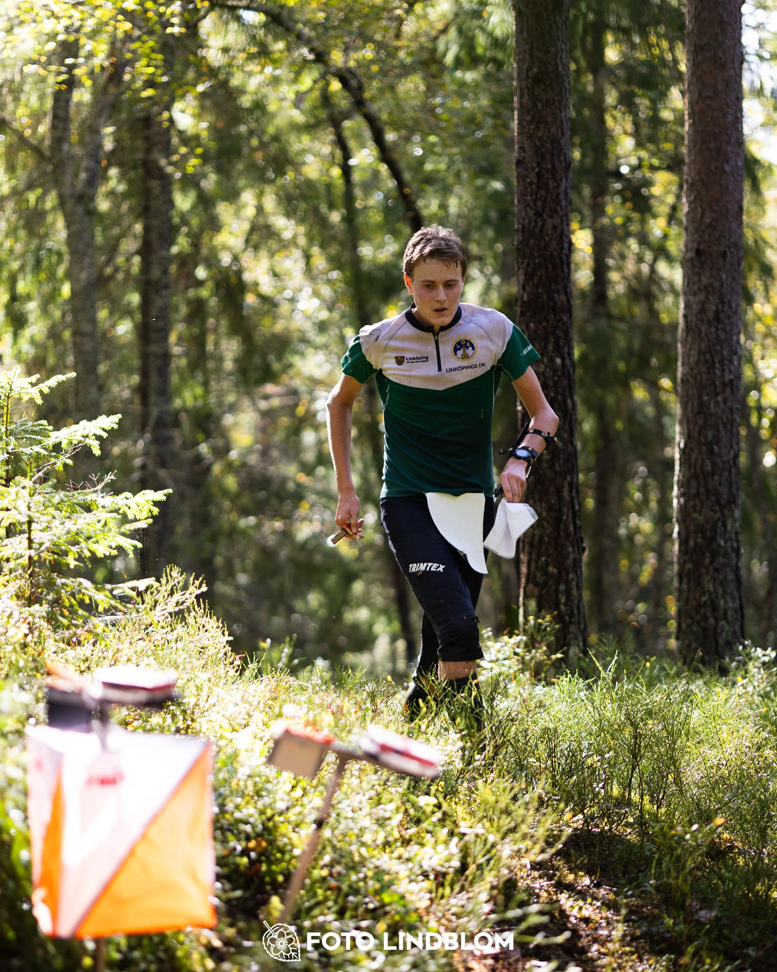 A picture from the Swedish national championship in long distance orienteering and Swedish league race taken by Foto Lindblom