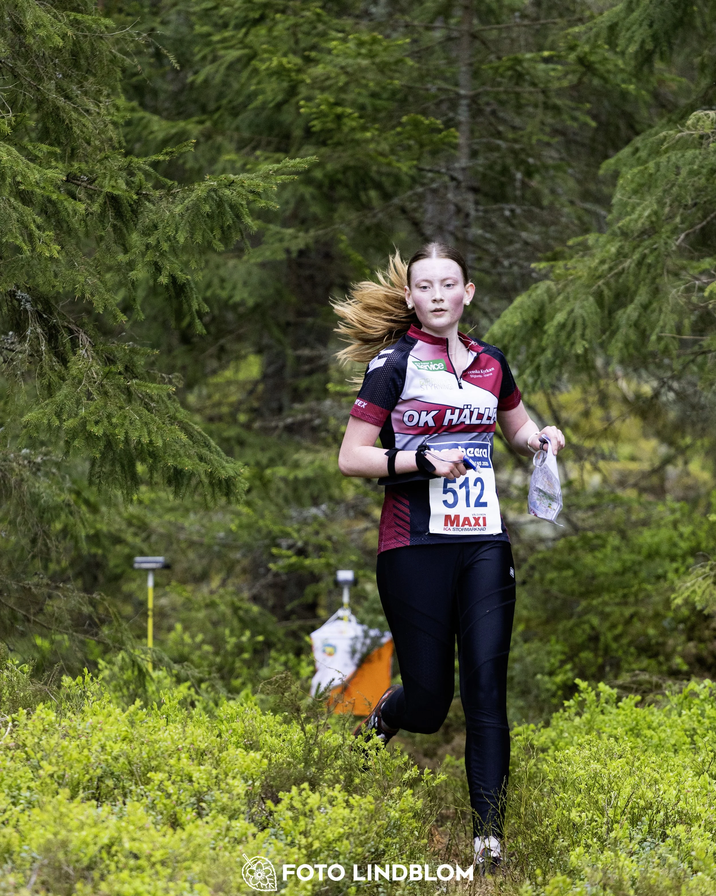 A picture from the Swedish national championship in middle distance orienteering and Swedish league race