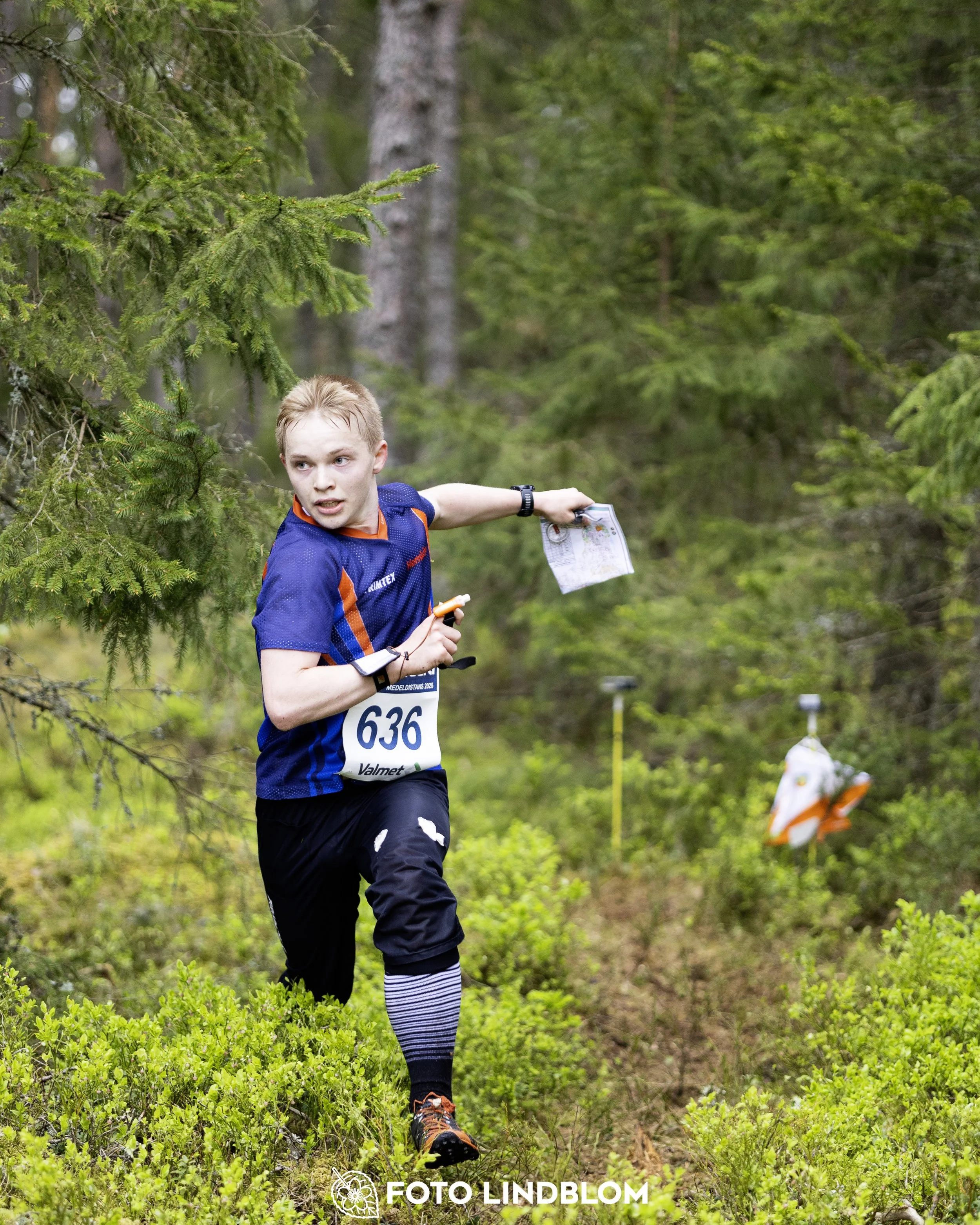 A picture from the Swedish national championship in middle distance orienteering and Swedish league race