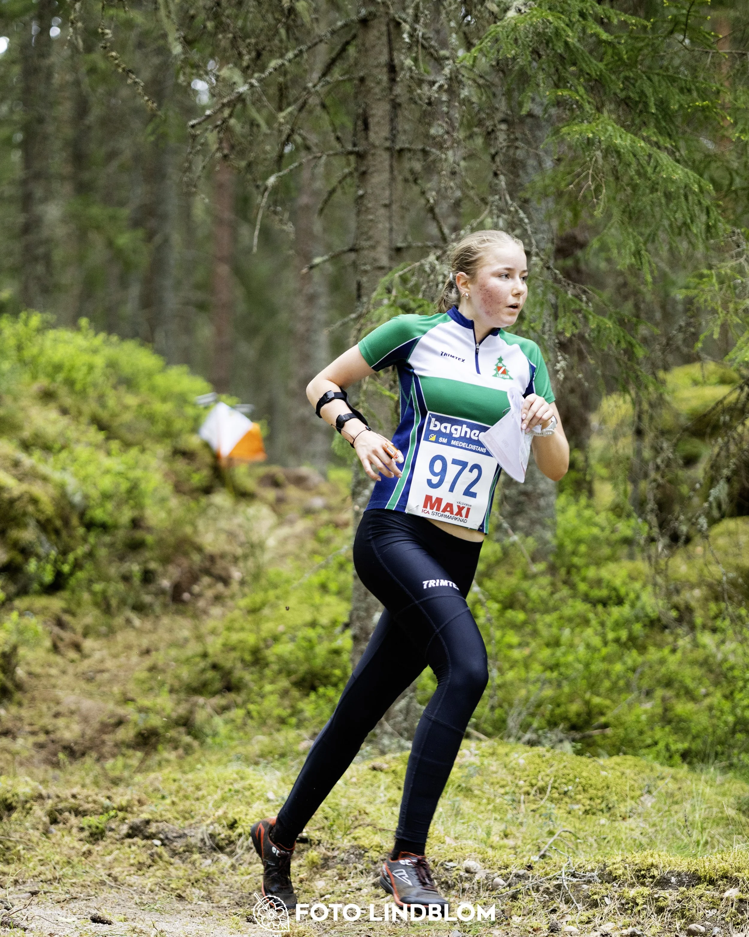 A picture from the Swedish national championship in middle distance orienteering and Swedish league race