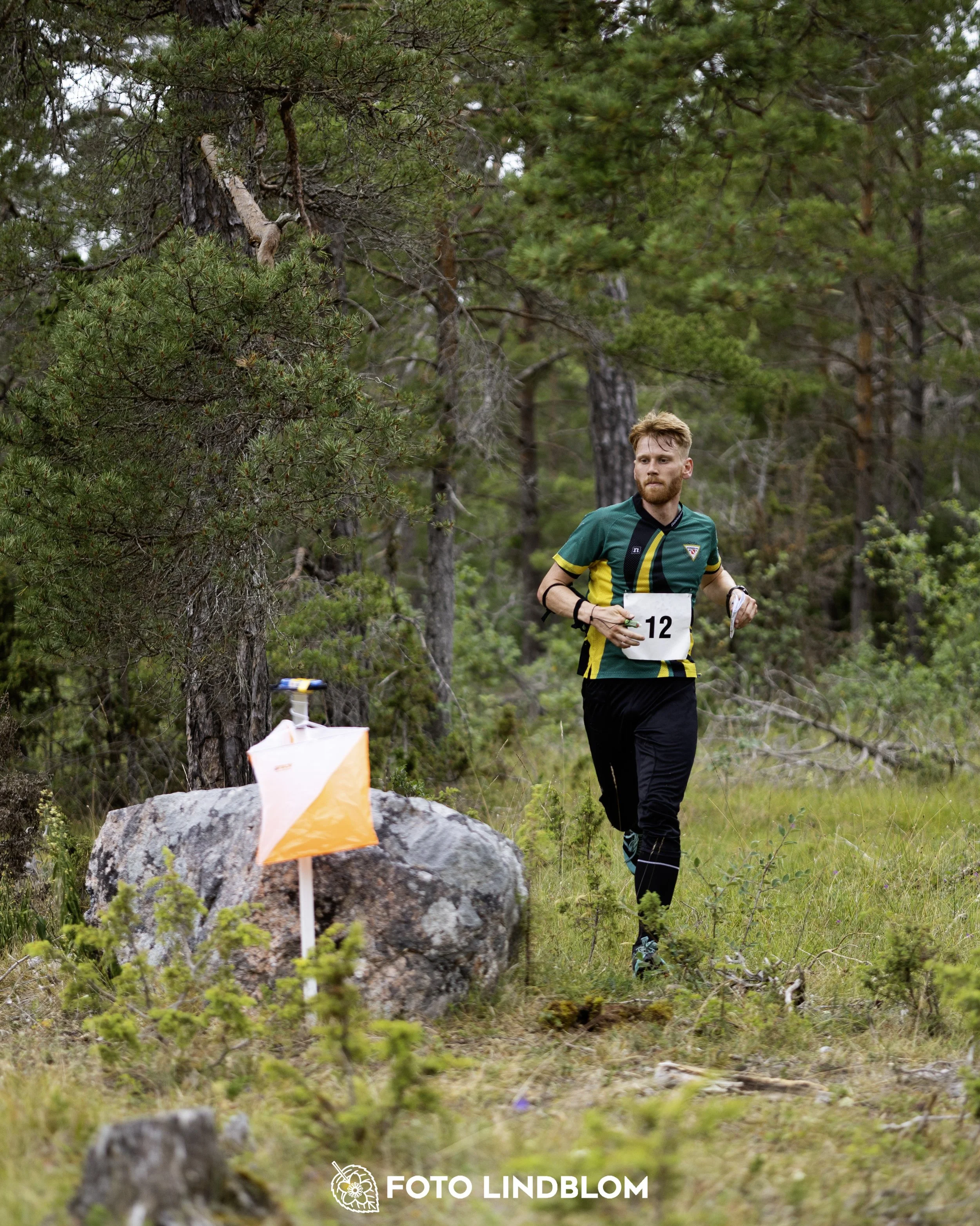 A picture from the Gotlands 2-Dagars orienteering competition
