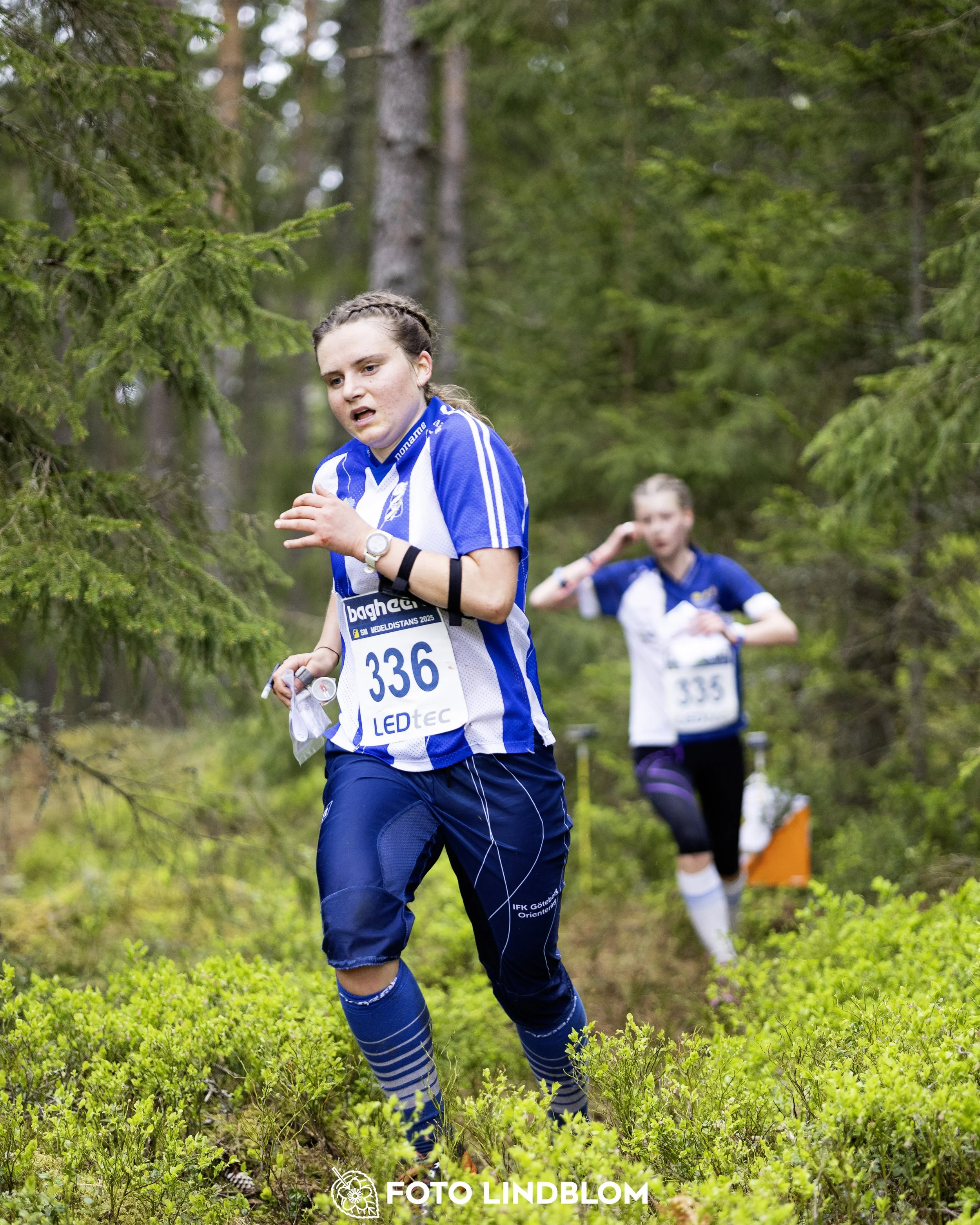 A picture from the Swedish national championship in middle distance orienteering and Swedish league race