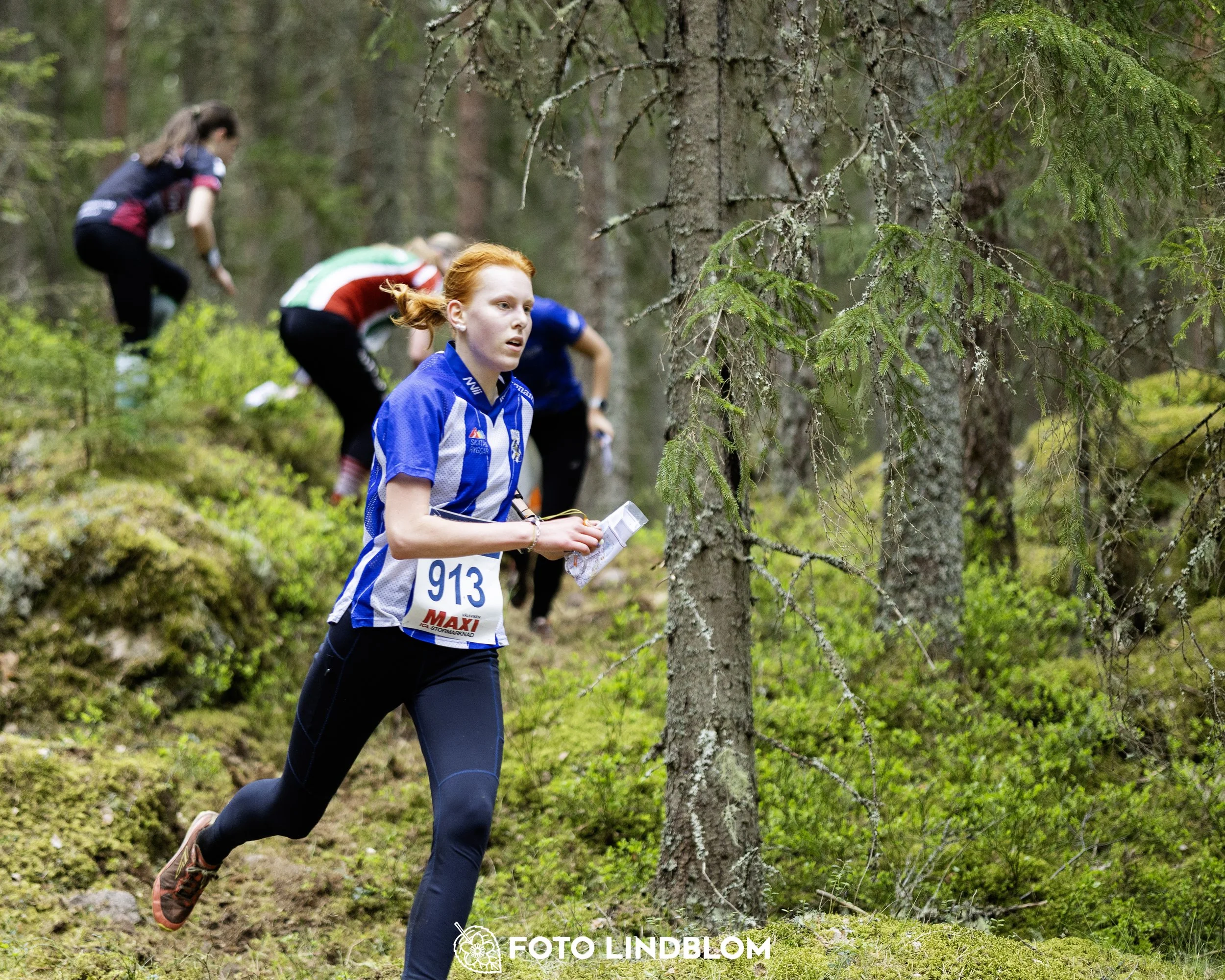 A picture from the Swedish national championship in middle distance orienteering and Swedish league race