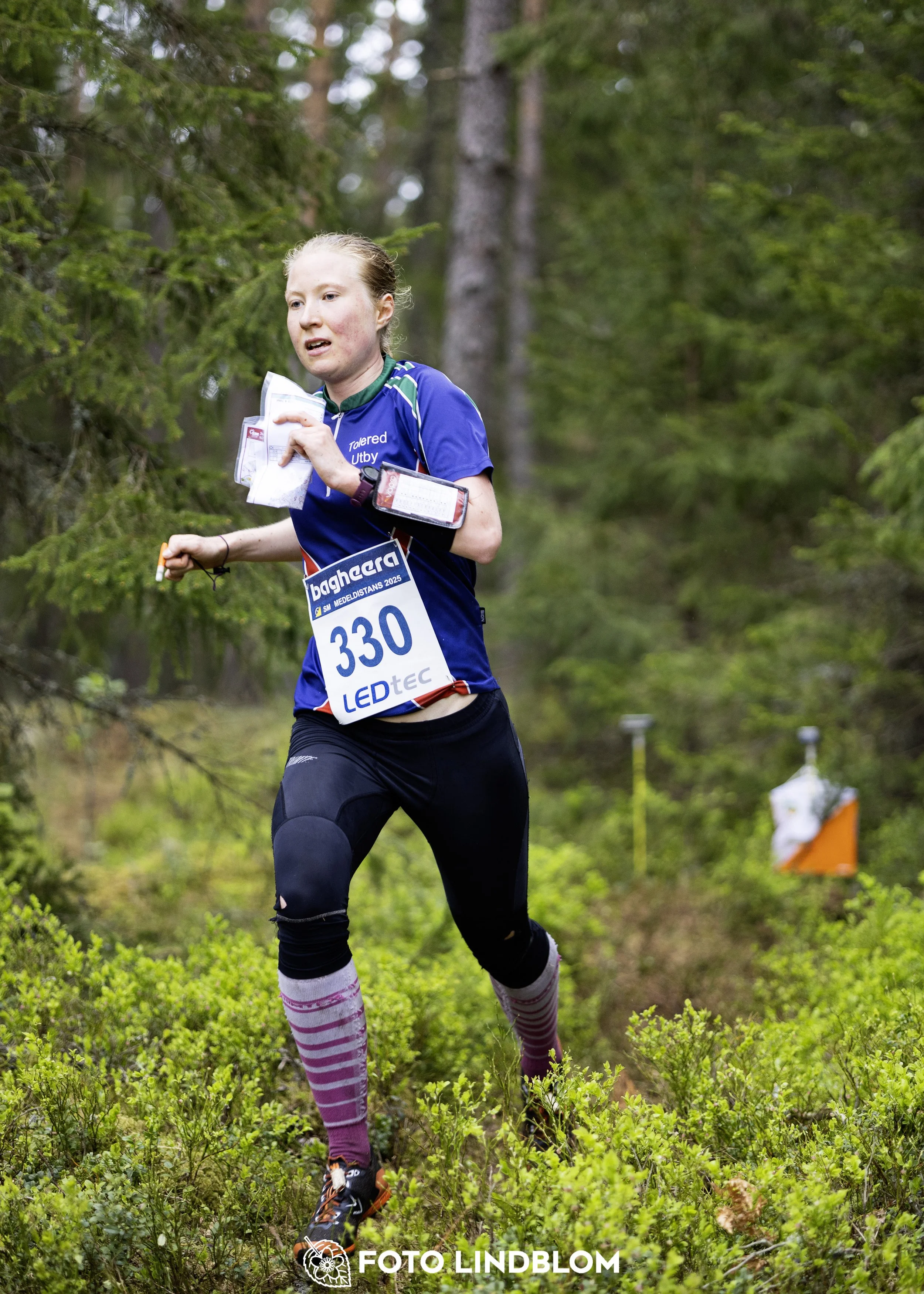 A picture from the Swedish national championship in middle distance orienteering and Swedish league race