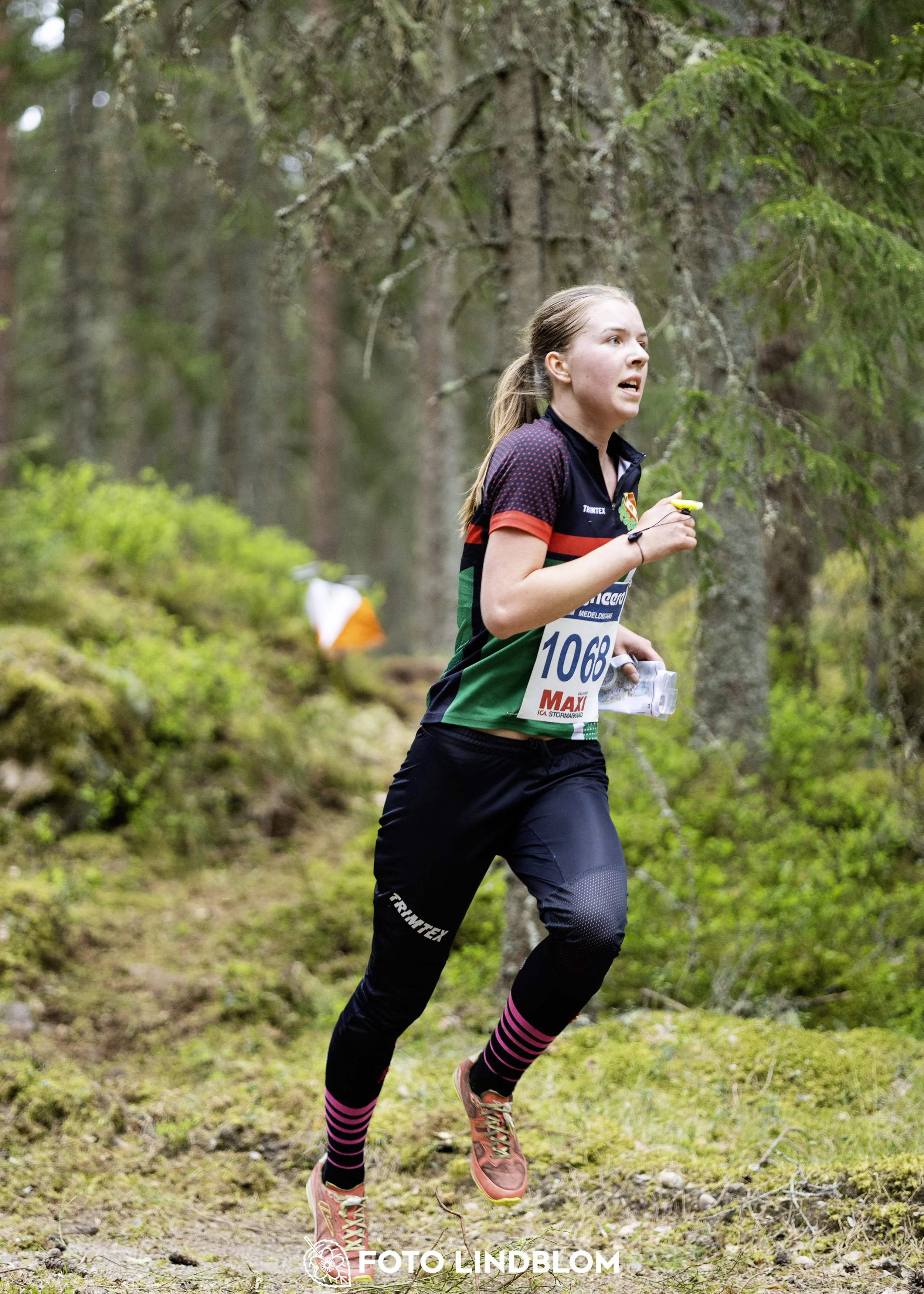 A picture from the Swedish national championship in middle distance orienteering and Swedish league race