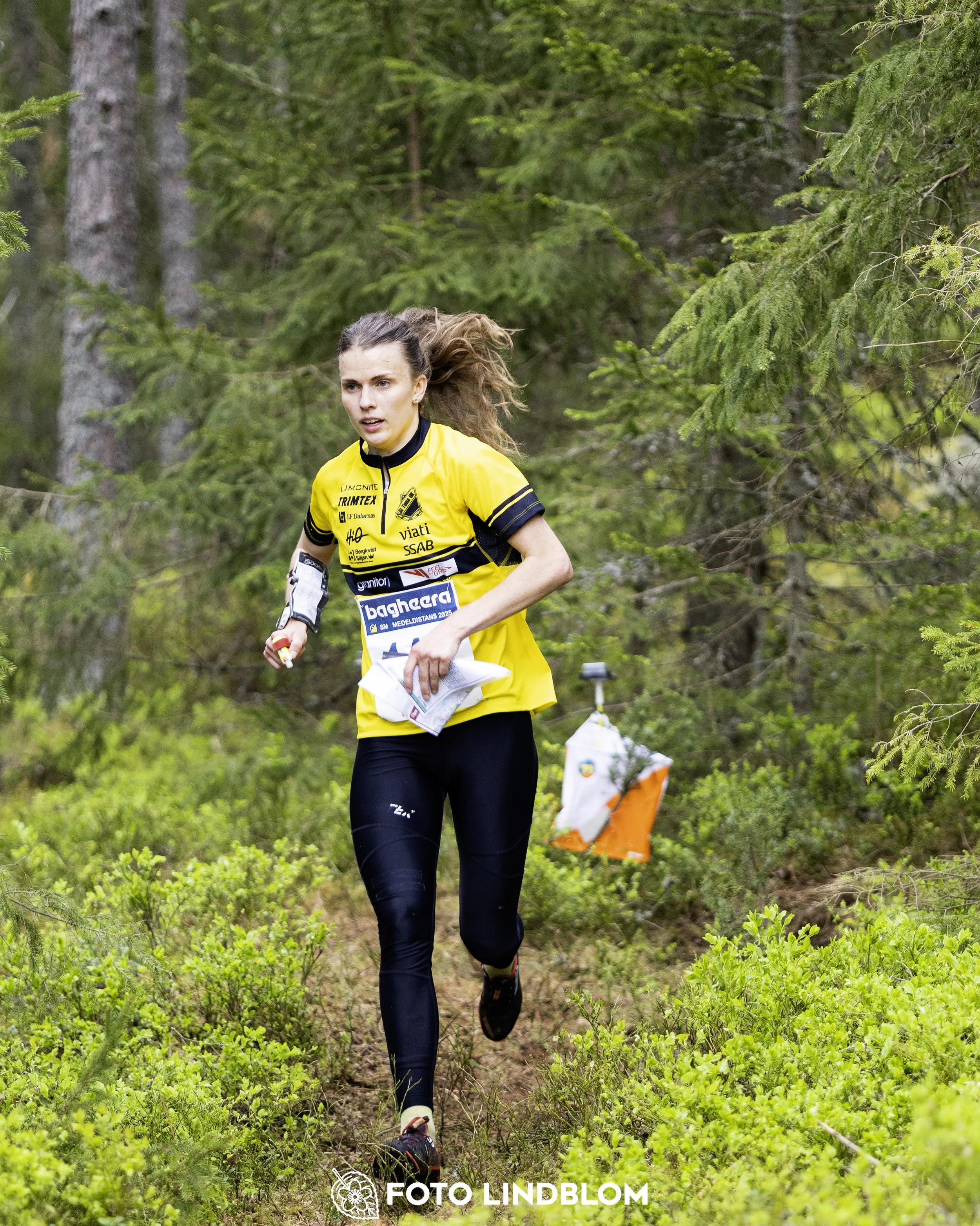 A picture from the Swedish national championship in middle distance orienteering and Swedish league race