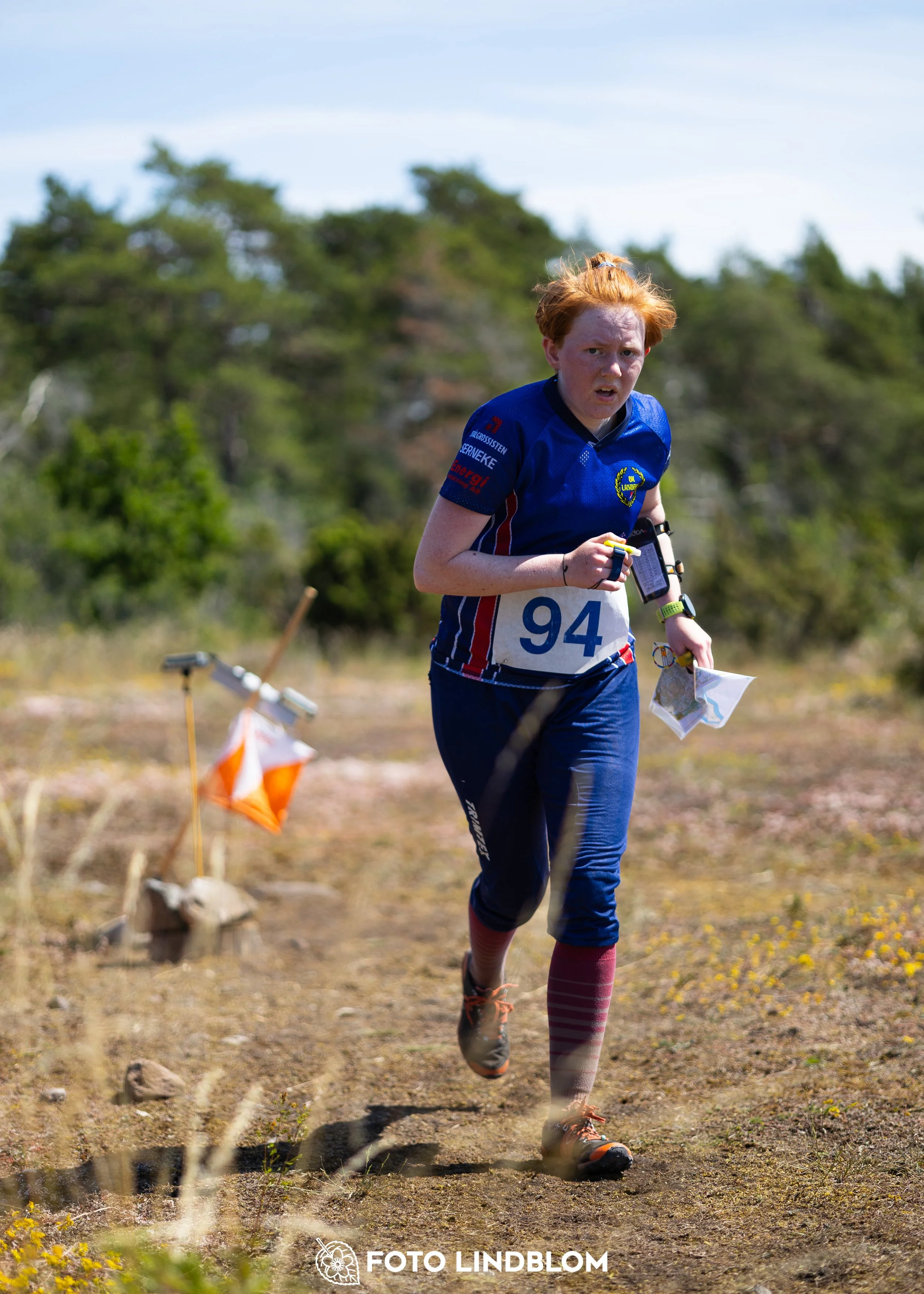 A picture from the Gotlands 3-Dagars orienteering competition