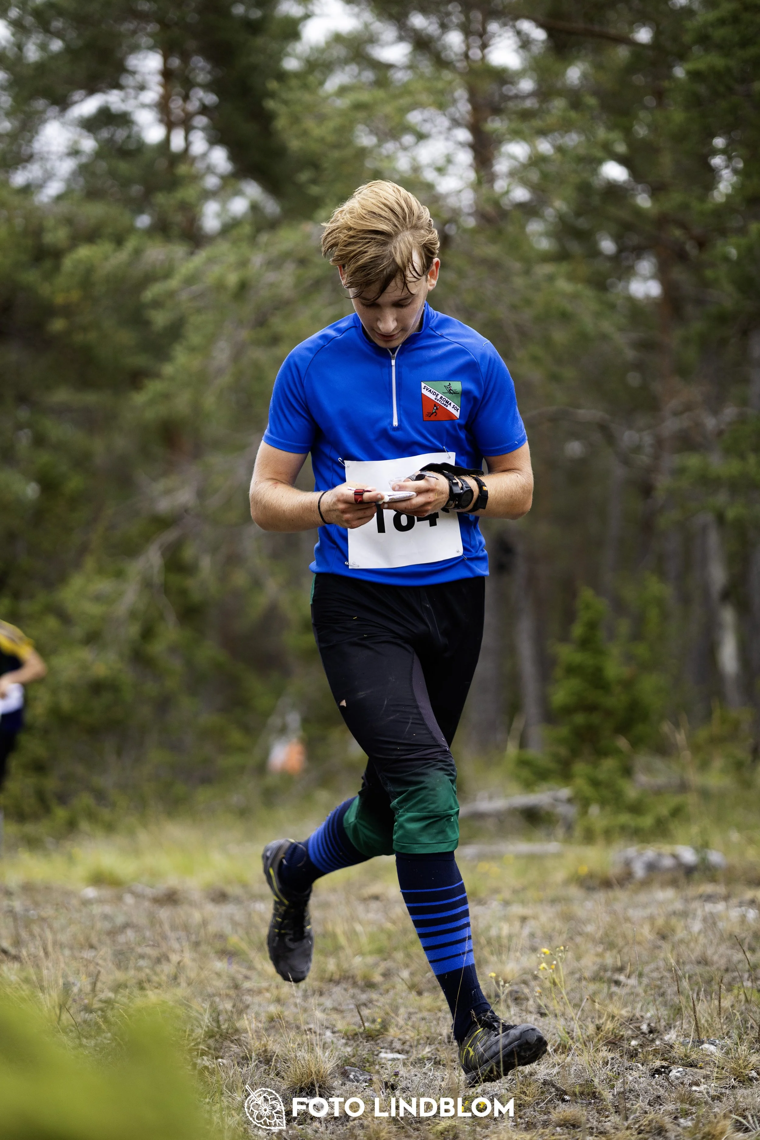 A picture from the Gotlands 2-Dagars orienteering competition