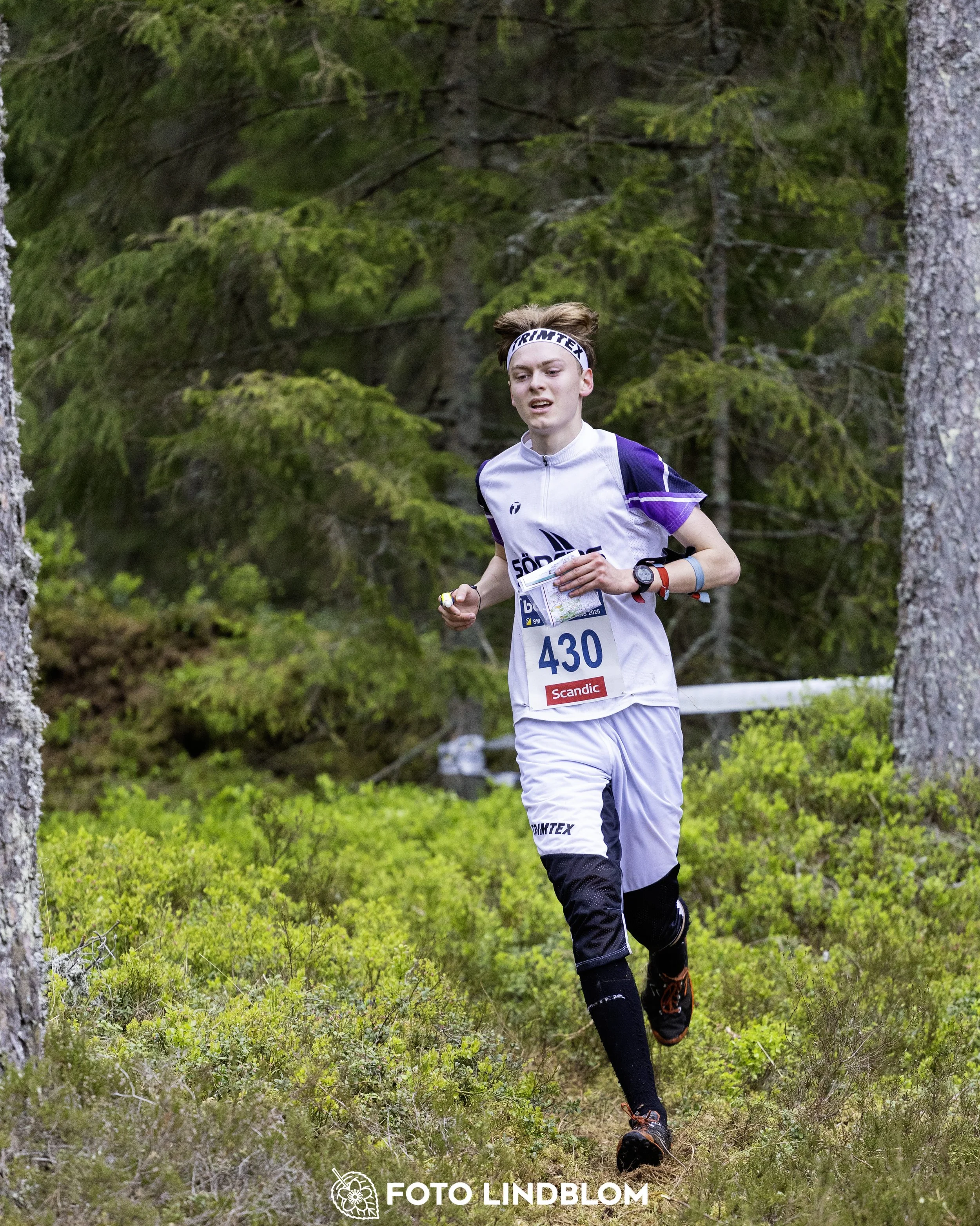 A picture from the Swedish national championship in middle distance orienteering and Swedish league race