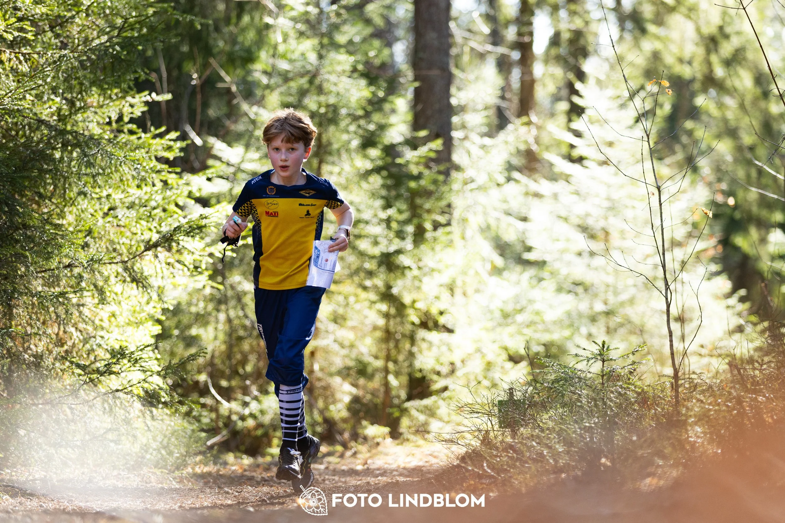 Orienteering in forest terrain at Nyköpingsorienteringen 2026, photographed by Foto Lindblom.