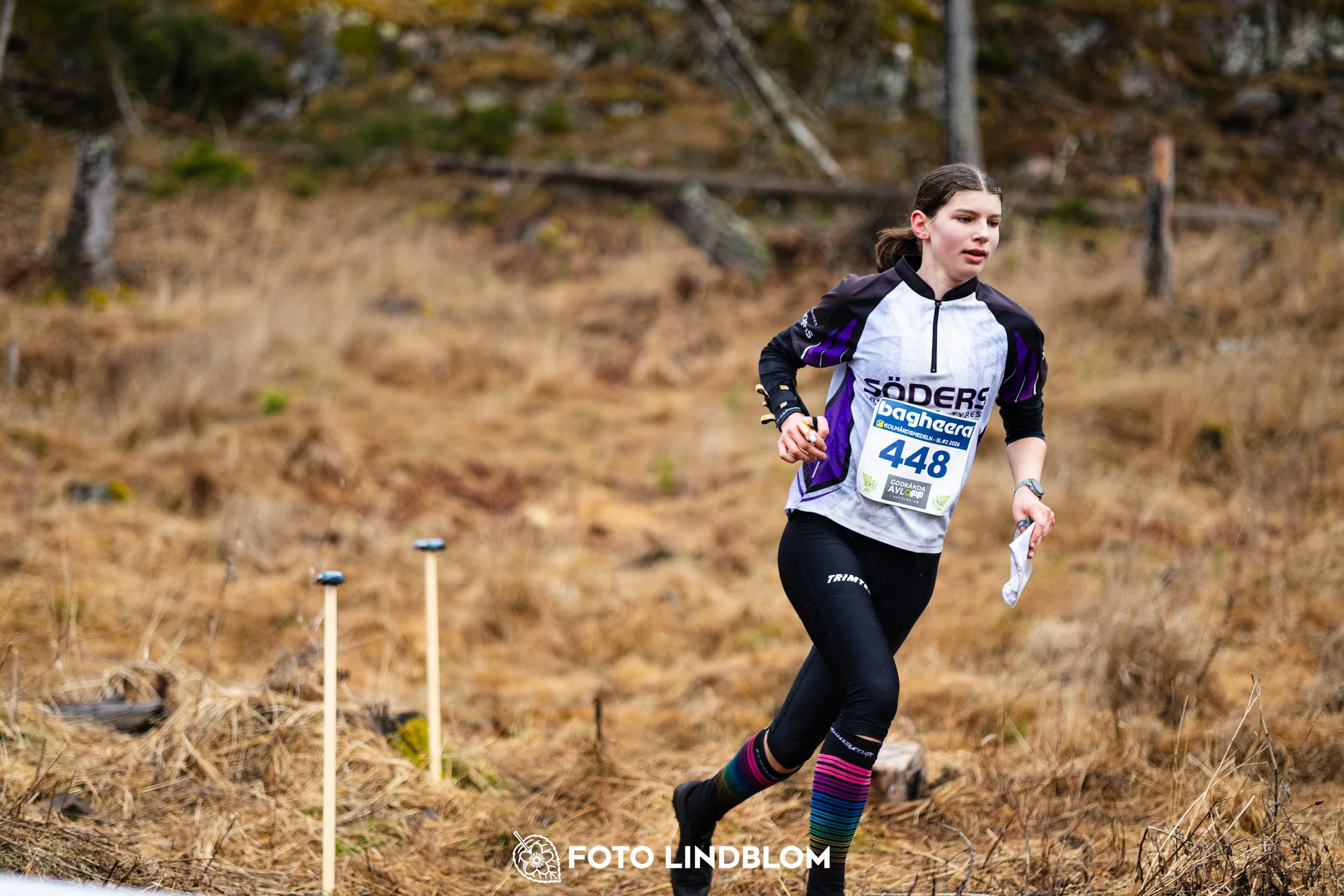 A moment from a middle distance orienteering race in Kolmården during the Swedish League 2026, captured by Foto Lindblom.