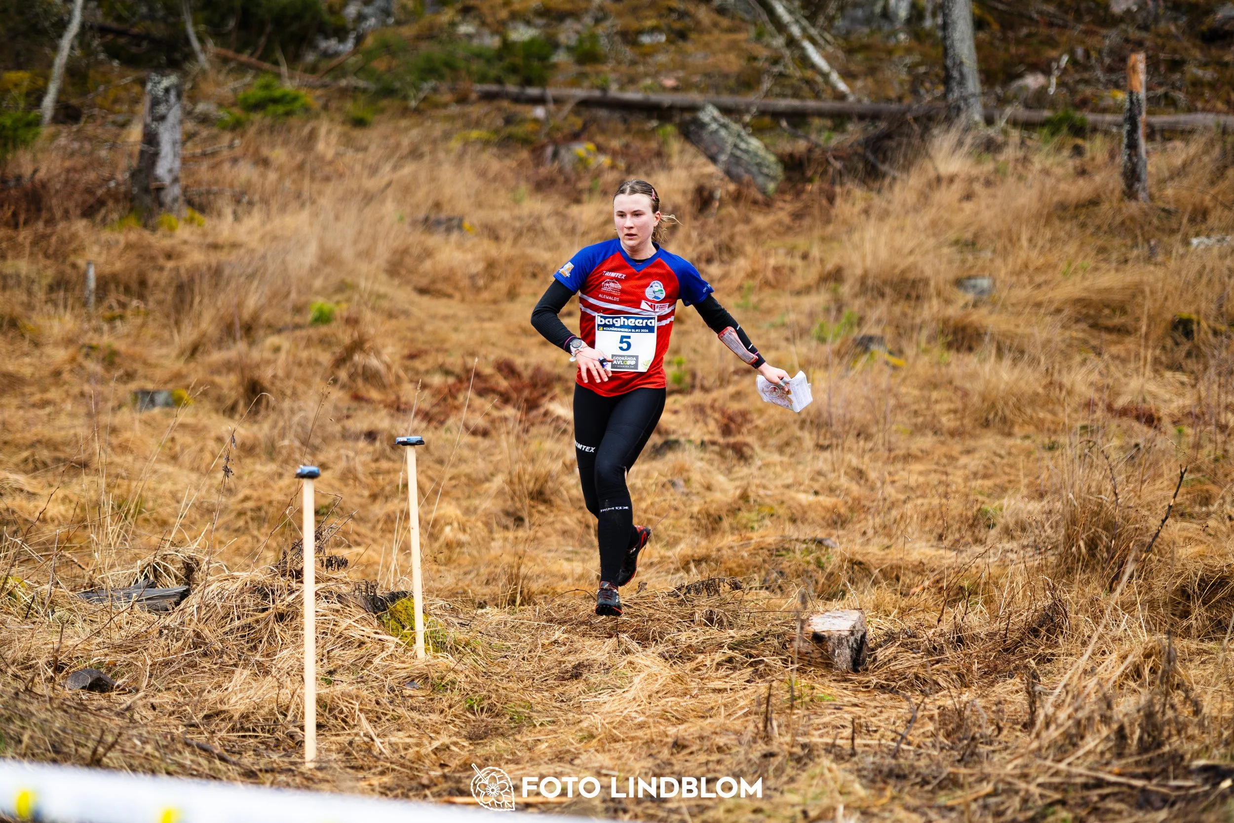 A moment captured during the Swedish League orienteering competition in Kolmården 2026 by Foto Lindblom.