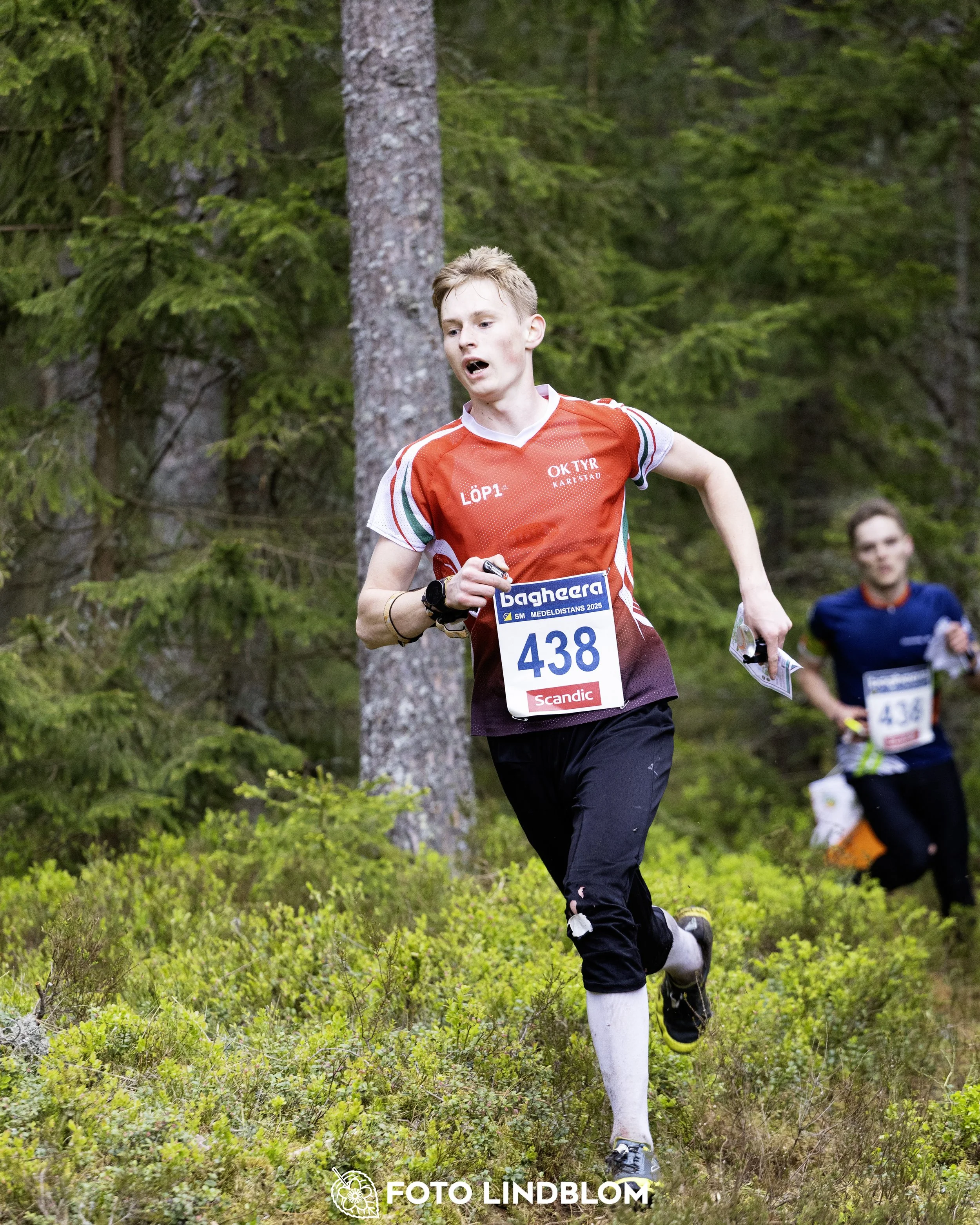 A picture from the Swedish national championship in middle distance orienteering and Swedish league race