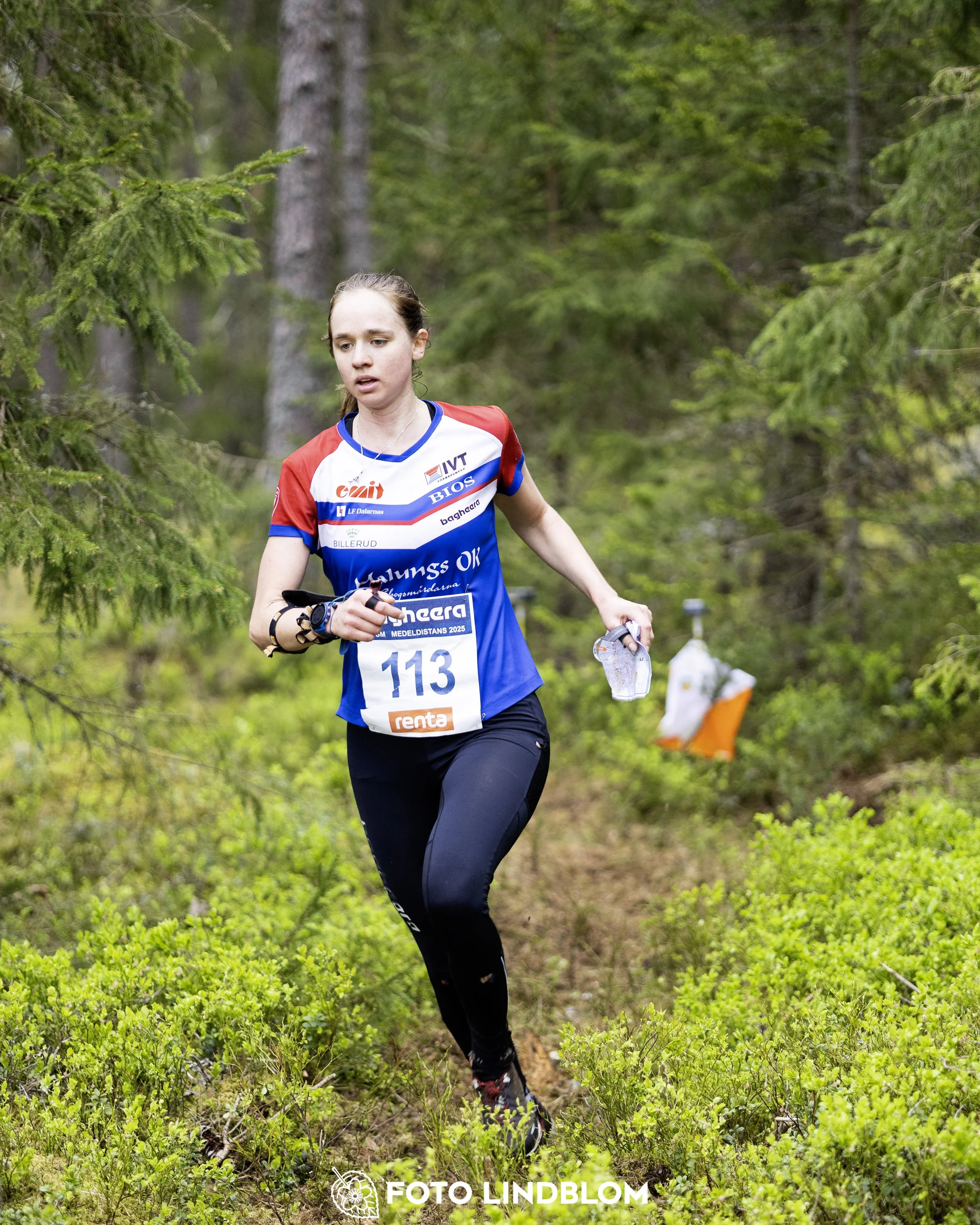 A picture from the Swedish national championship in middle distance orienteering and Swedish league race