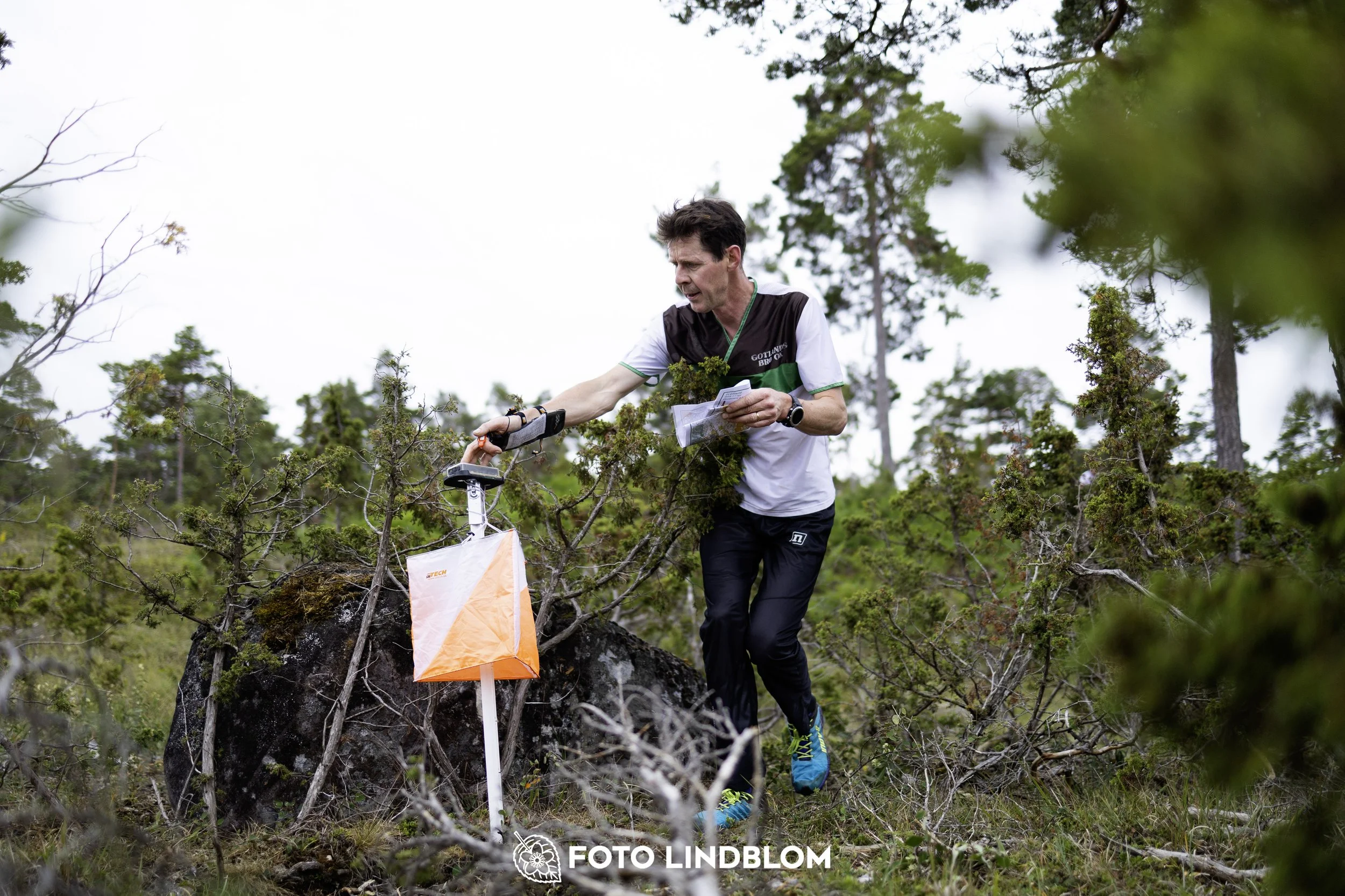 A picture from the Gotlands 2-Dagars orienteering competition