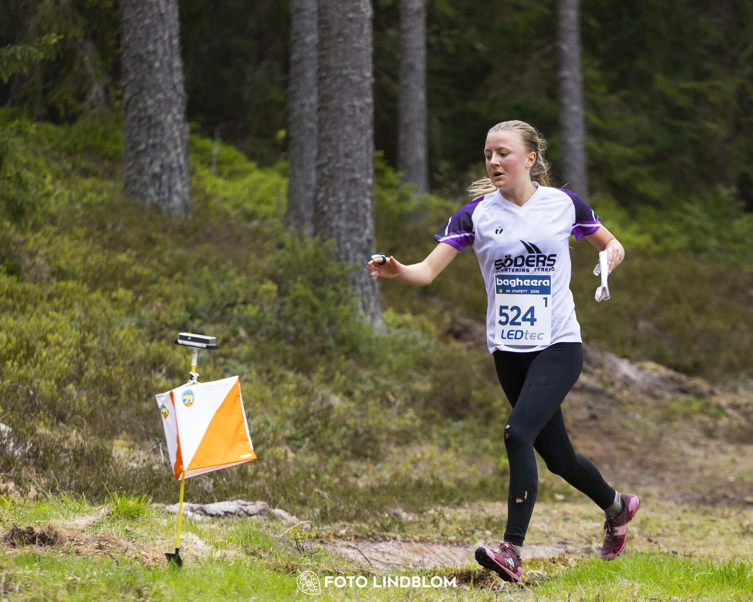 A picture from the Swedish national championship in relay orienteering