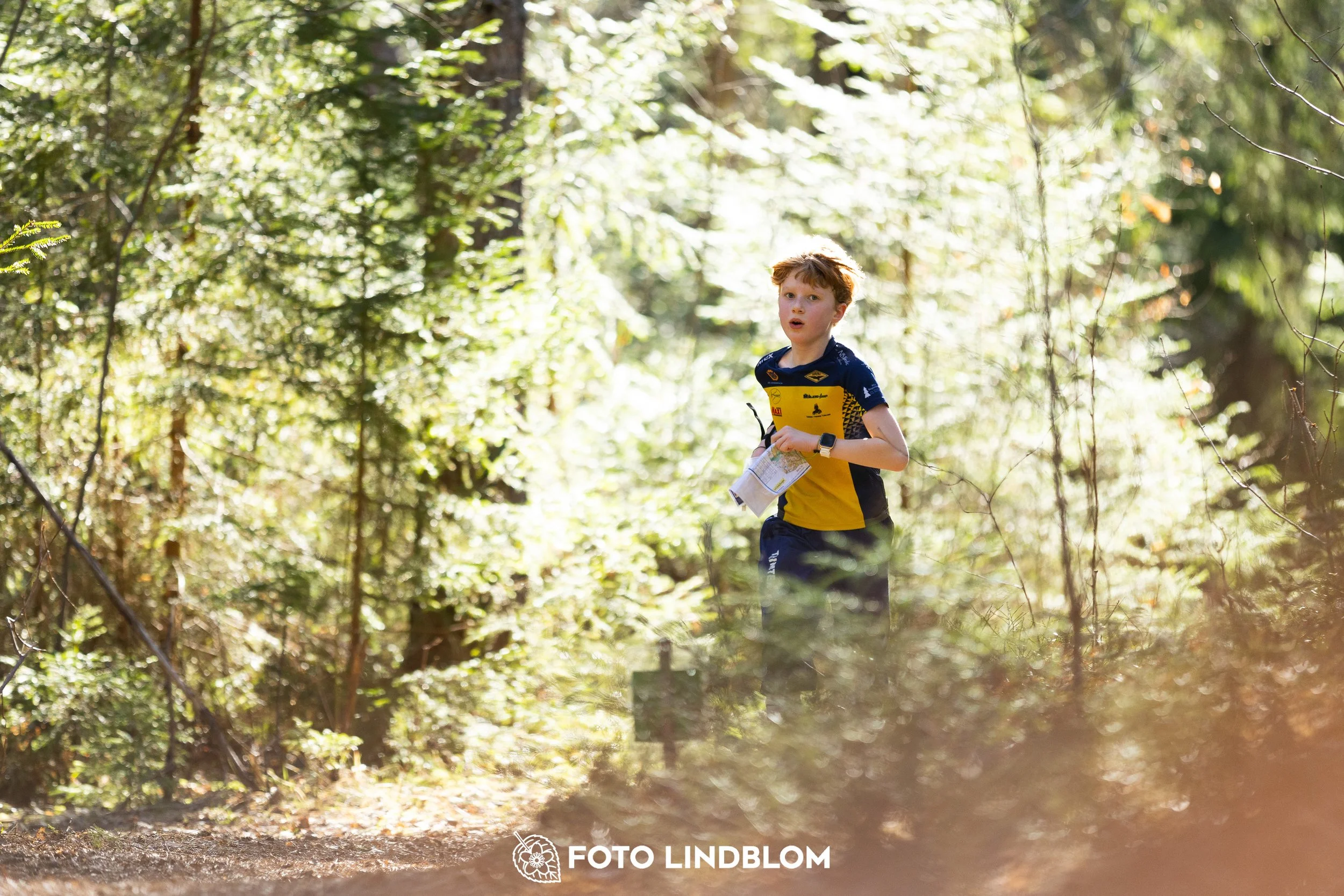 A photo from the 2026 Nyköpingsorienteringen orienteering event in a Swedish forest, captured by Foto Lindblom.