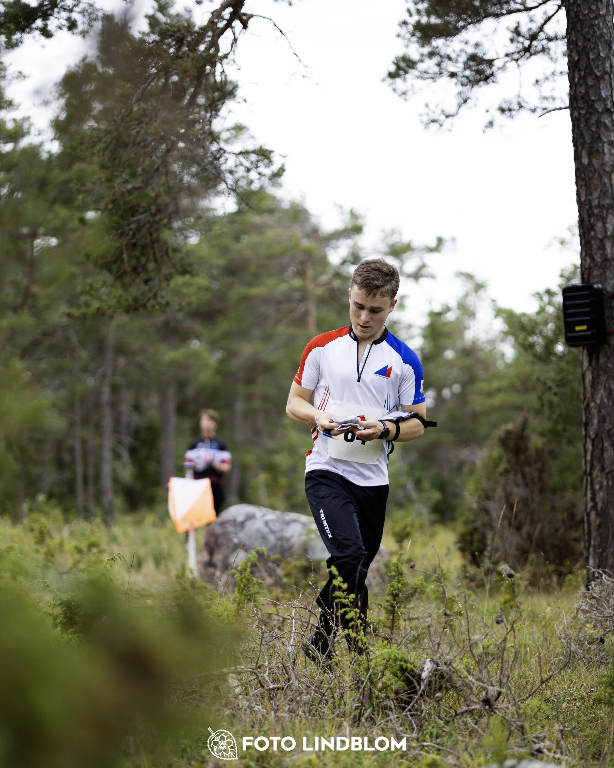 A picture from the Gotlands 2-Dagars orienteering competition