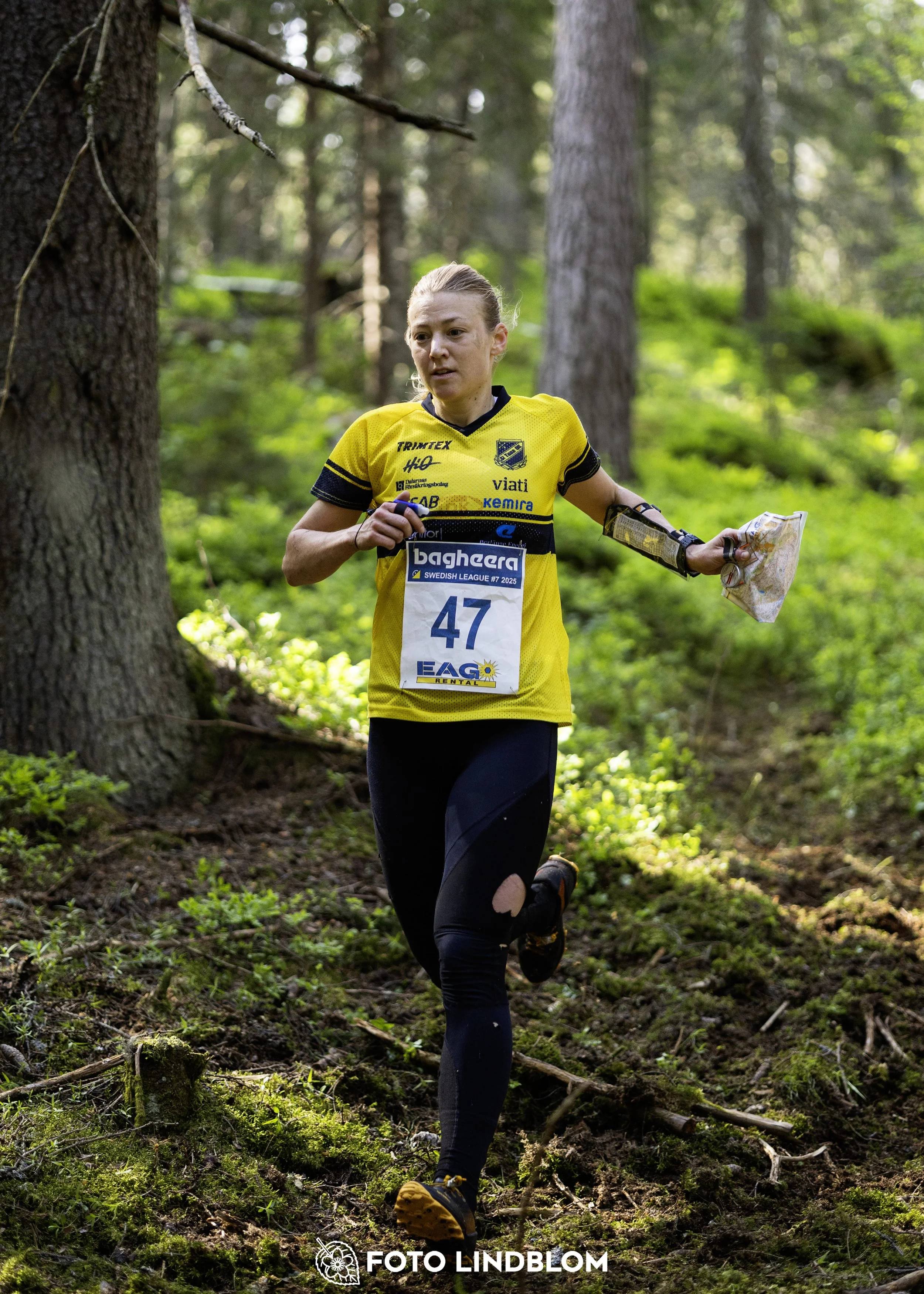 A picture from the seventh stage of the Swedish League orienteering competition