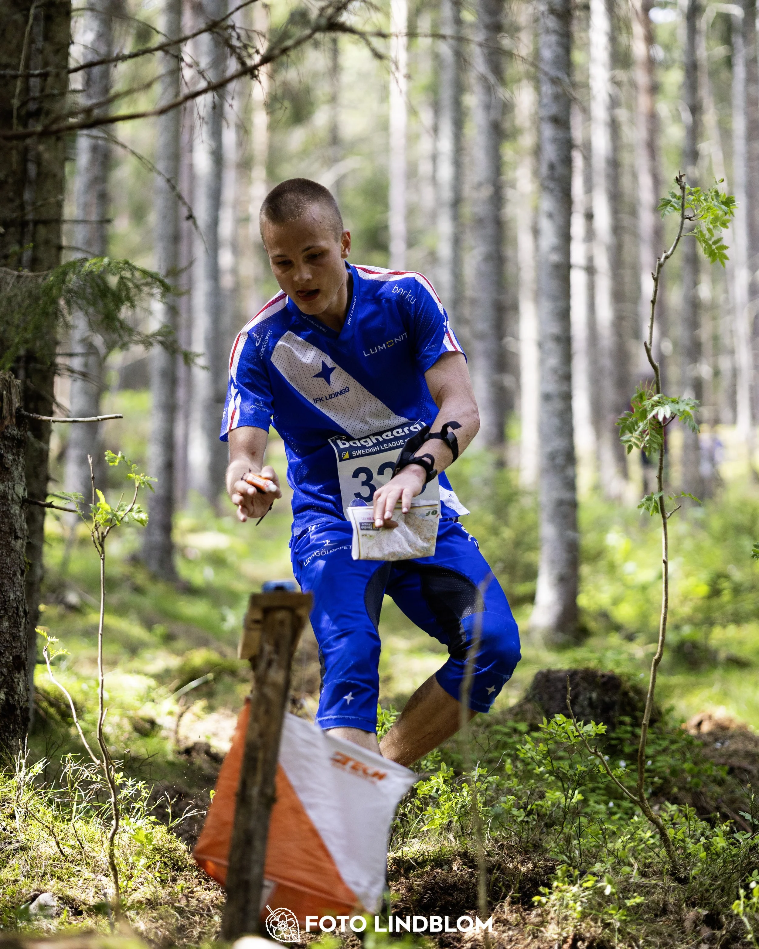 A picture from the seventh stage of the Swedish League orienteering competition