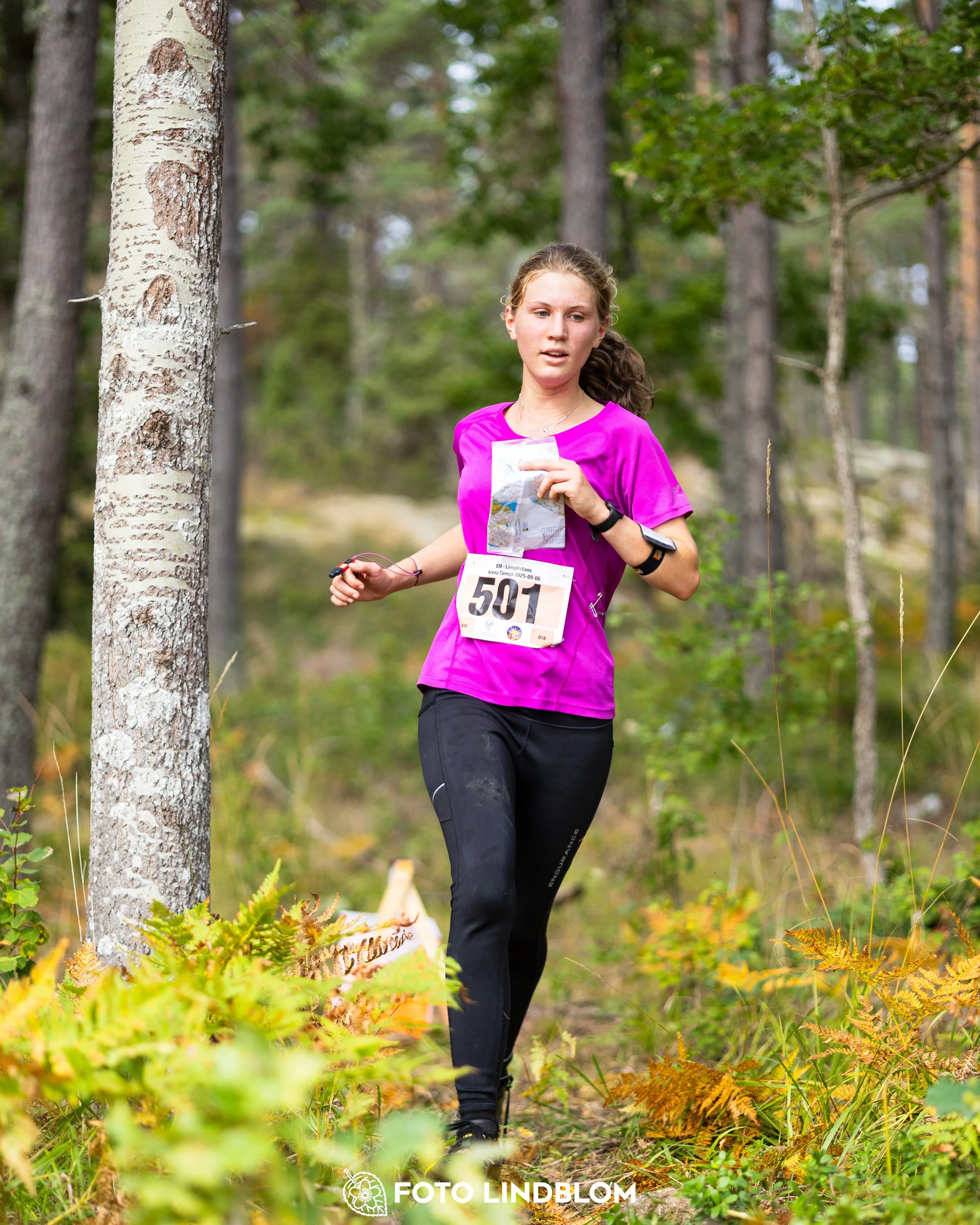 A picture from the Stockholm district championship in middle distance orienteering taken by Foto Lindblom
