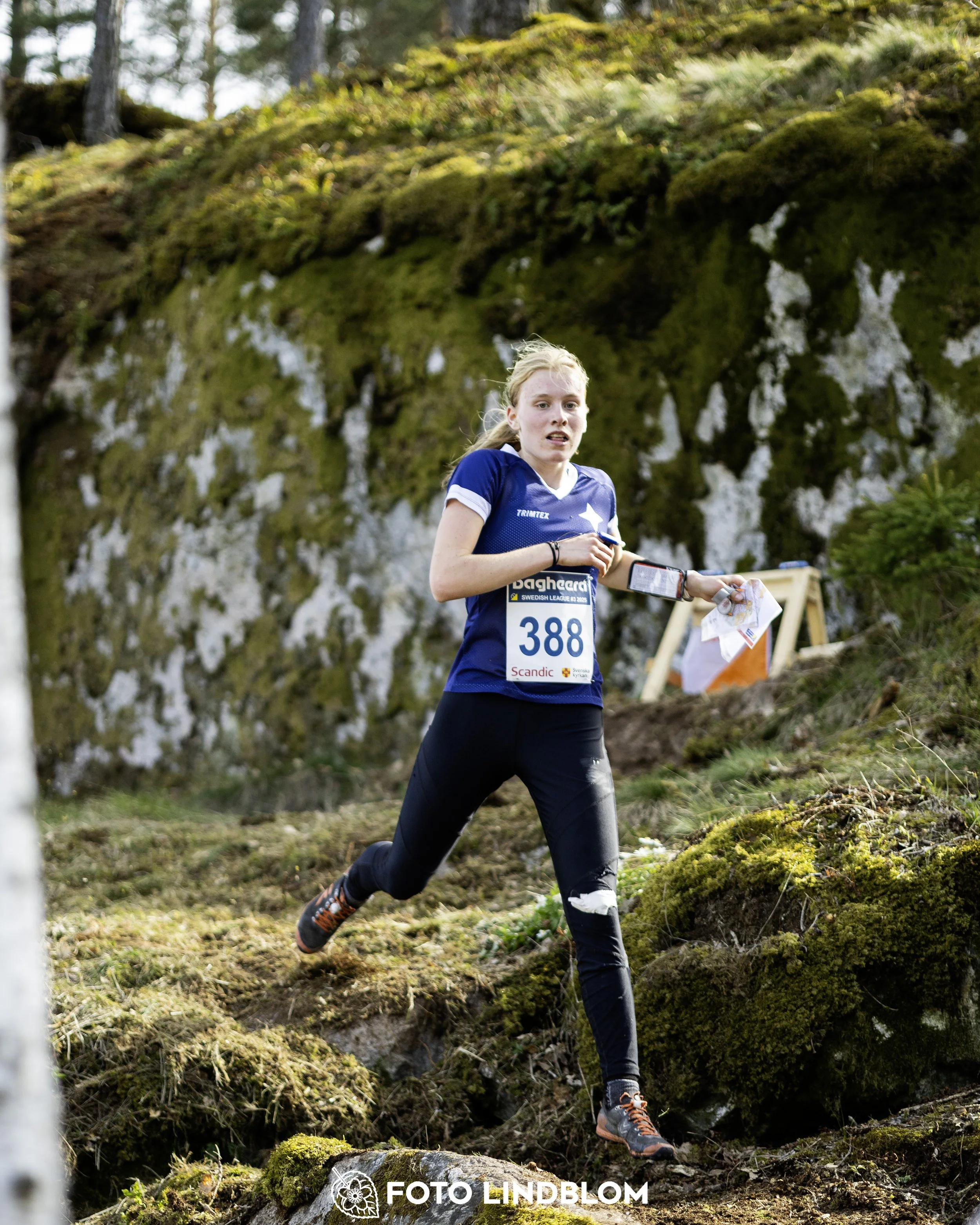 A picture from the third stage of the Swedish League orienteering competition