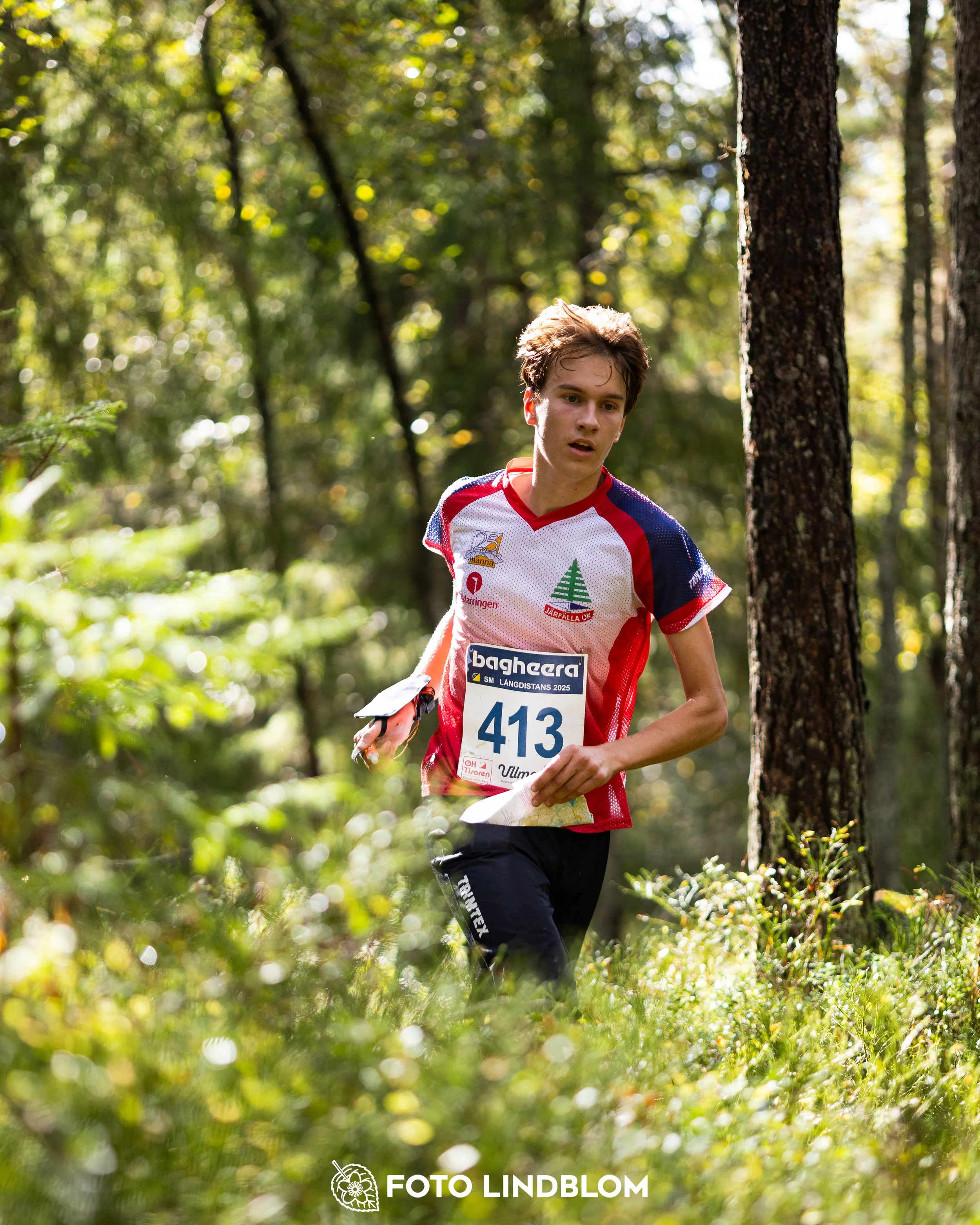 A picture from the Swedish national championship in long distance orienteering and Swedish league race taken by Foto Lindblom