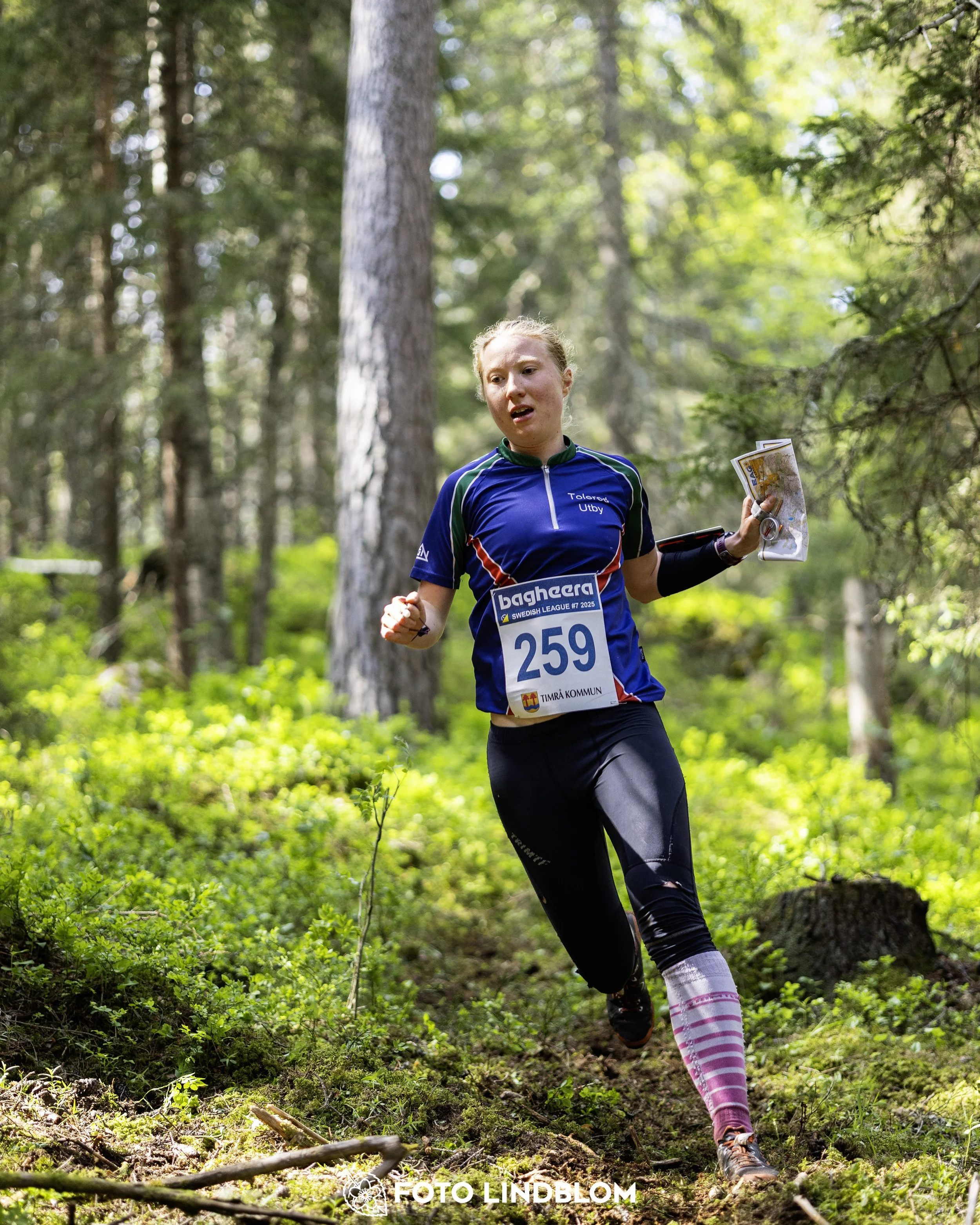 A picture from the seventh stage of the Swedish League orienteering competition