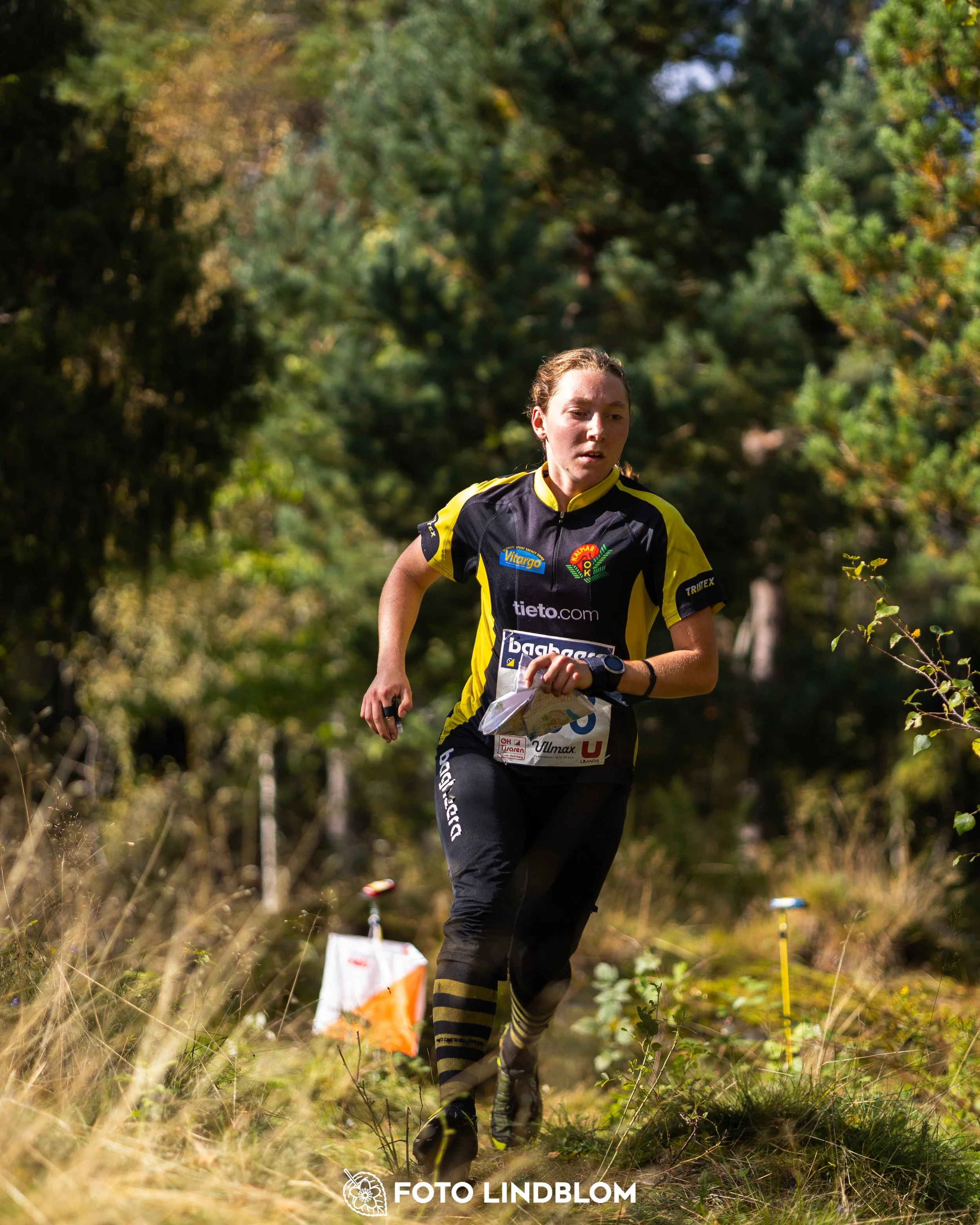 A picture from the Swedish national championship in long distance orienteering and Swedish league race taken by Foto Lindblom