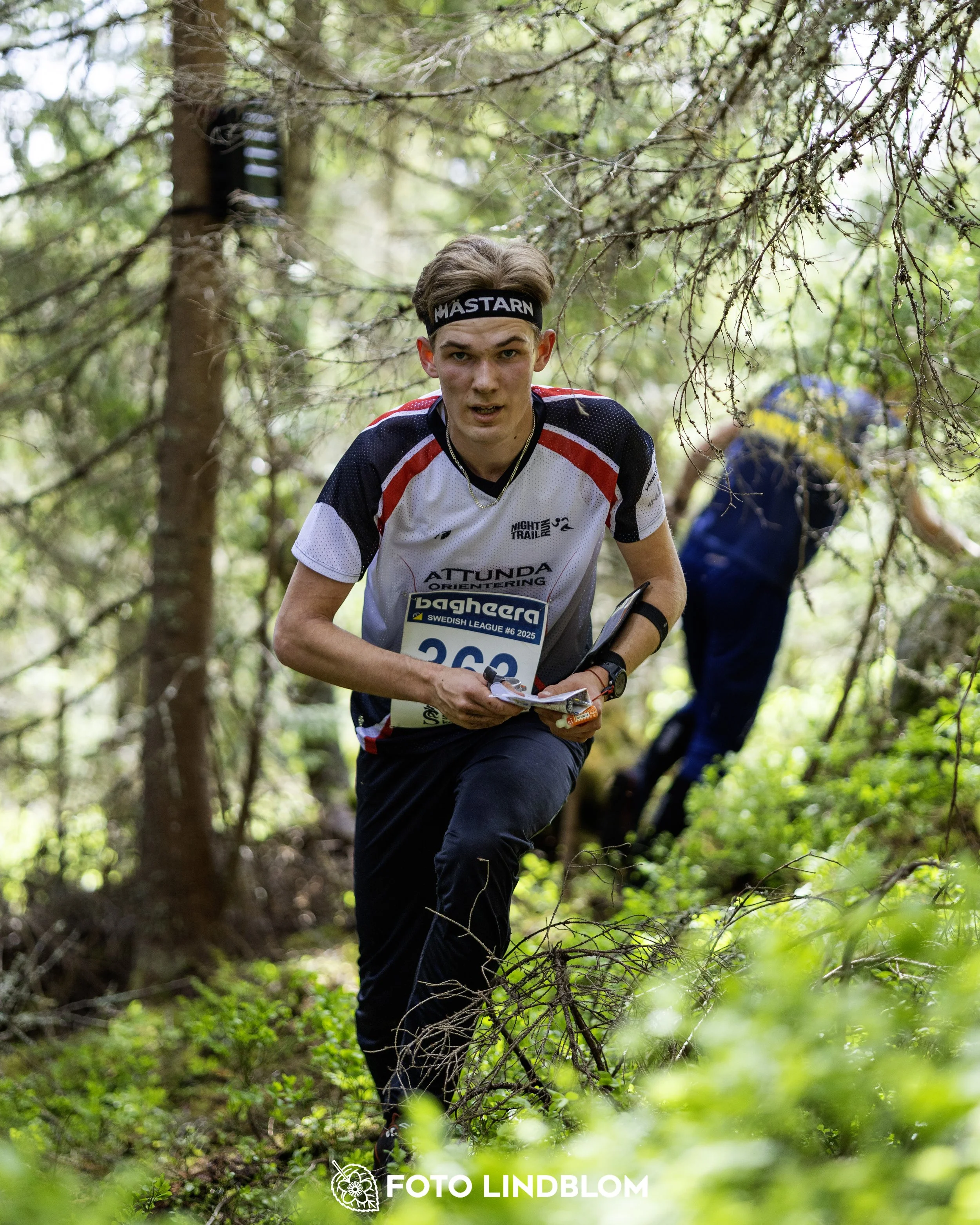 A picture from the seventh stage of the Swedish League orienteering competition