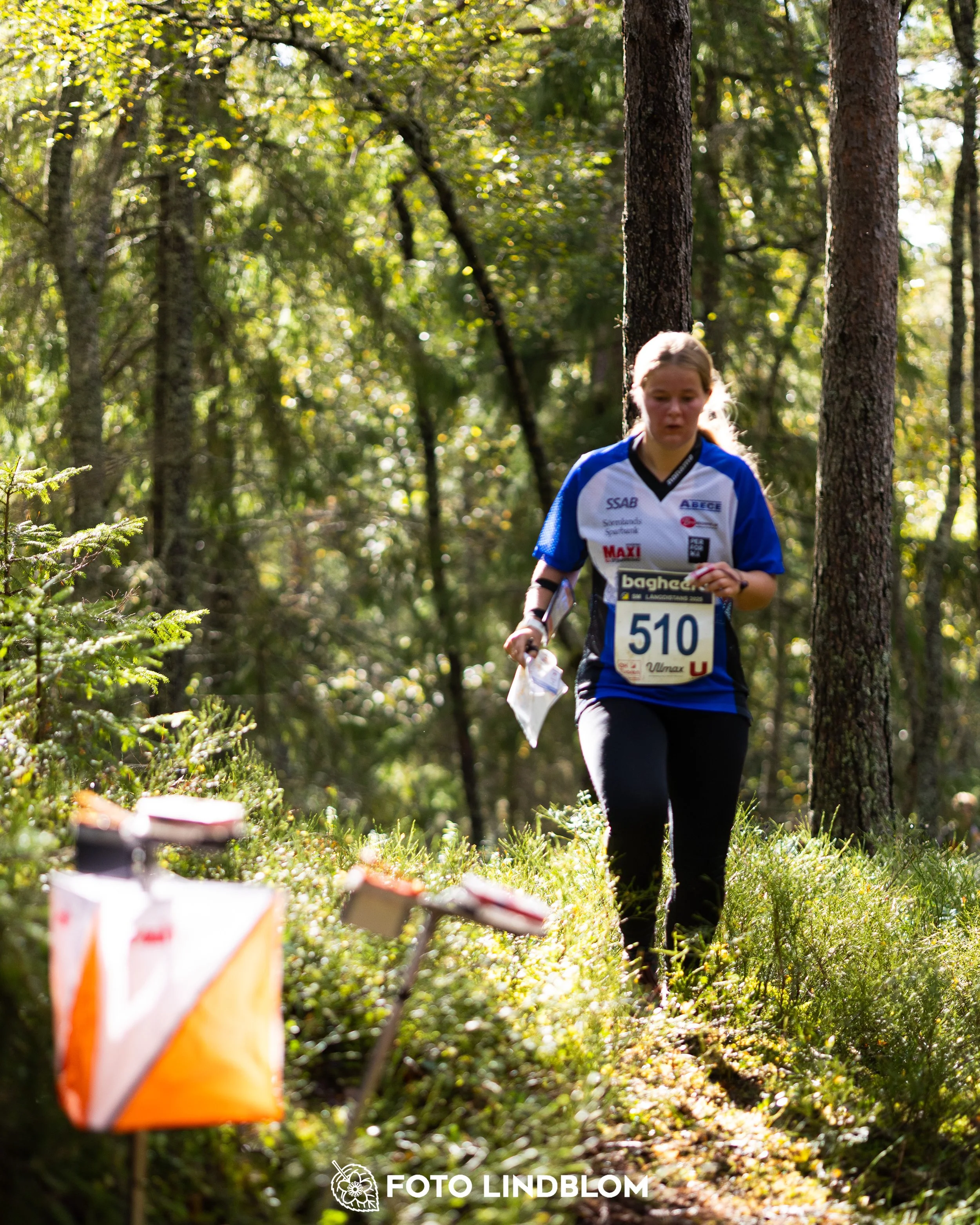 A picture from the Swedish national championship in long distance orienteering and Swedish league race taken by Foto Lindblom