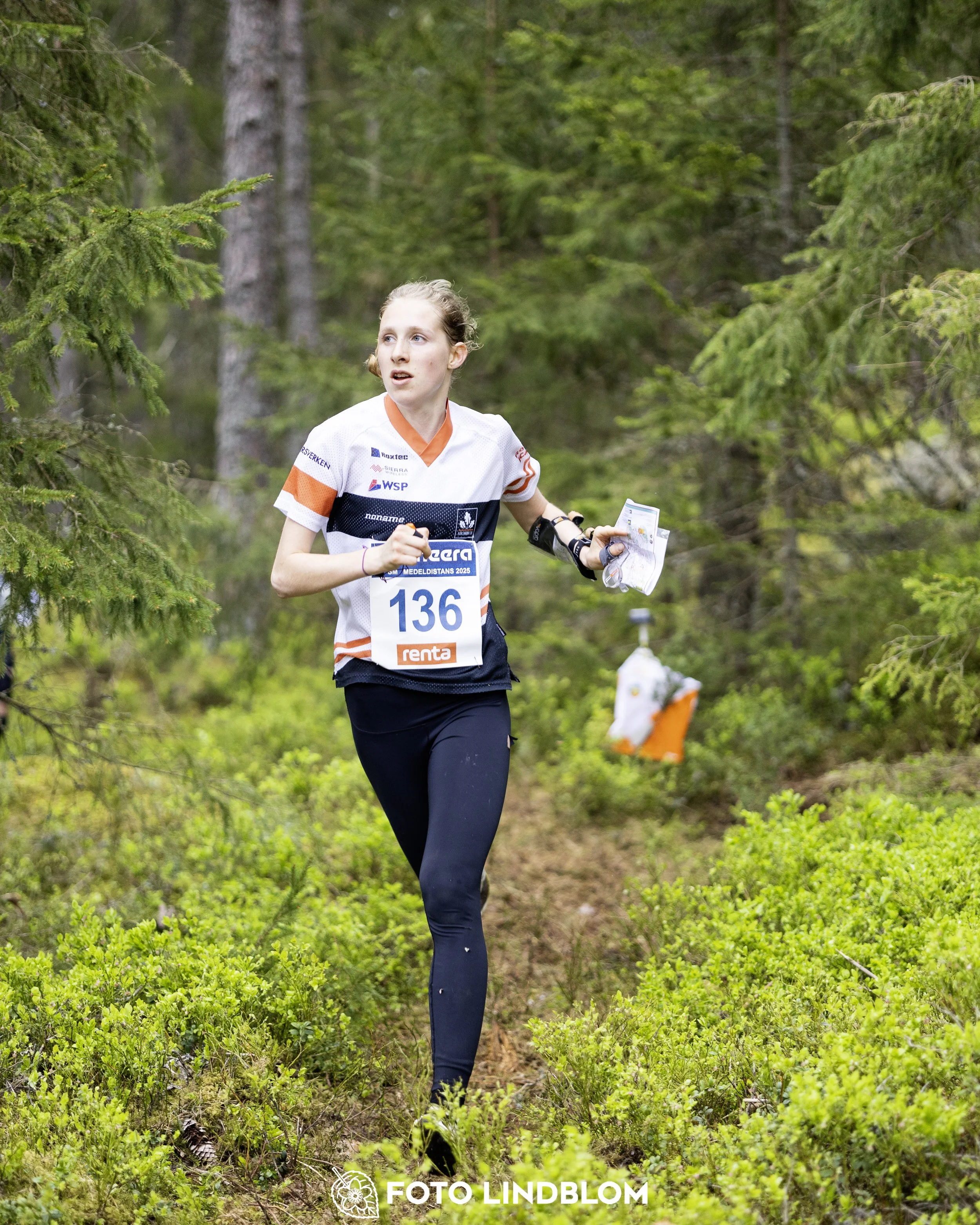 A picture from the Swedish national championship in middle distance orienteering and Swedish league race