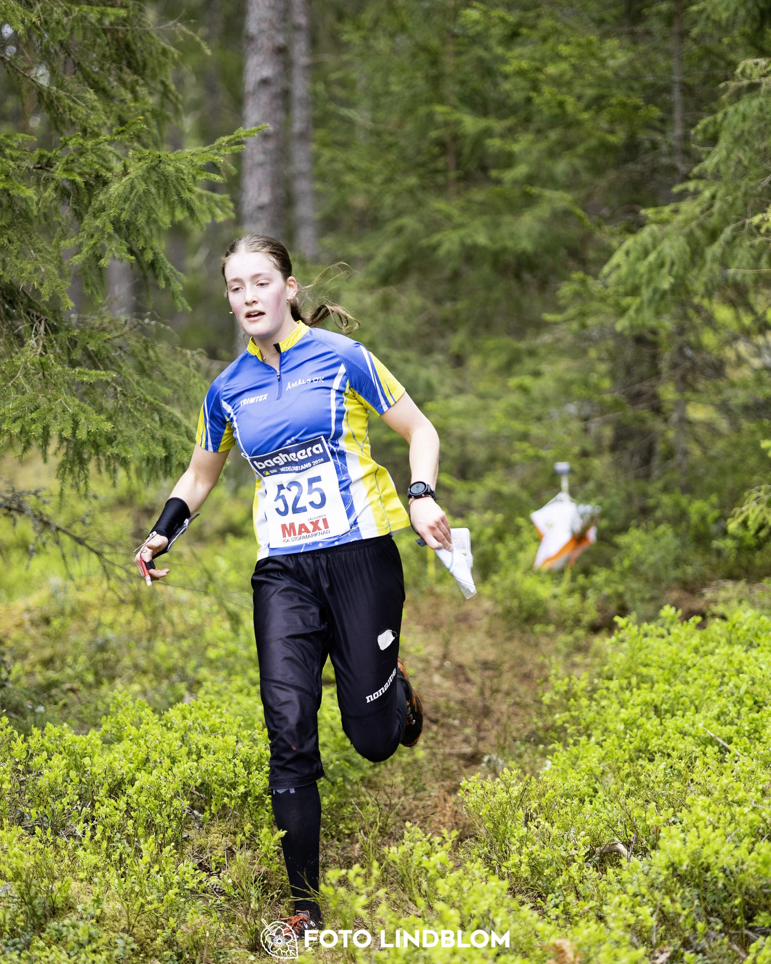 A picture from the Swedish national championship in middle distance orienteering and Swedish league race