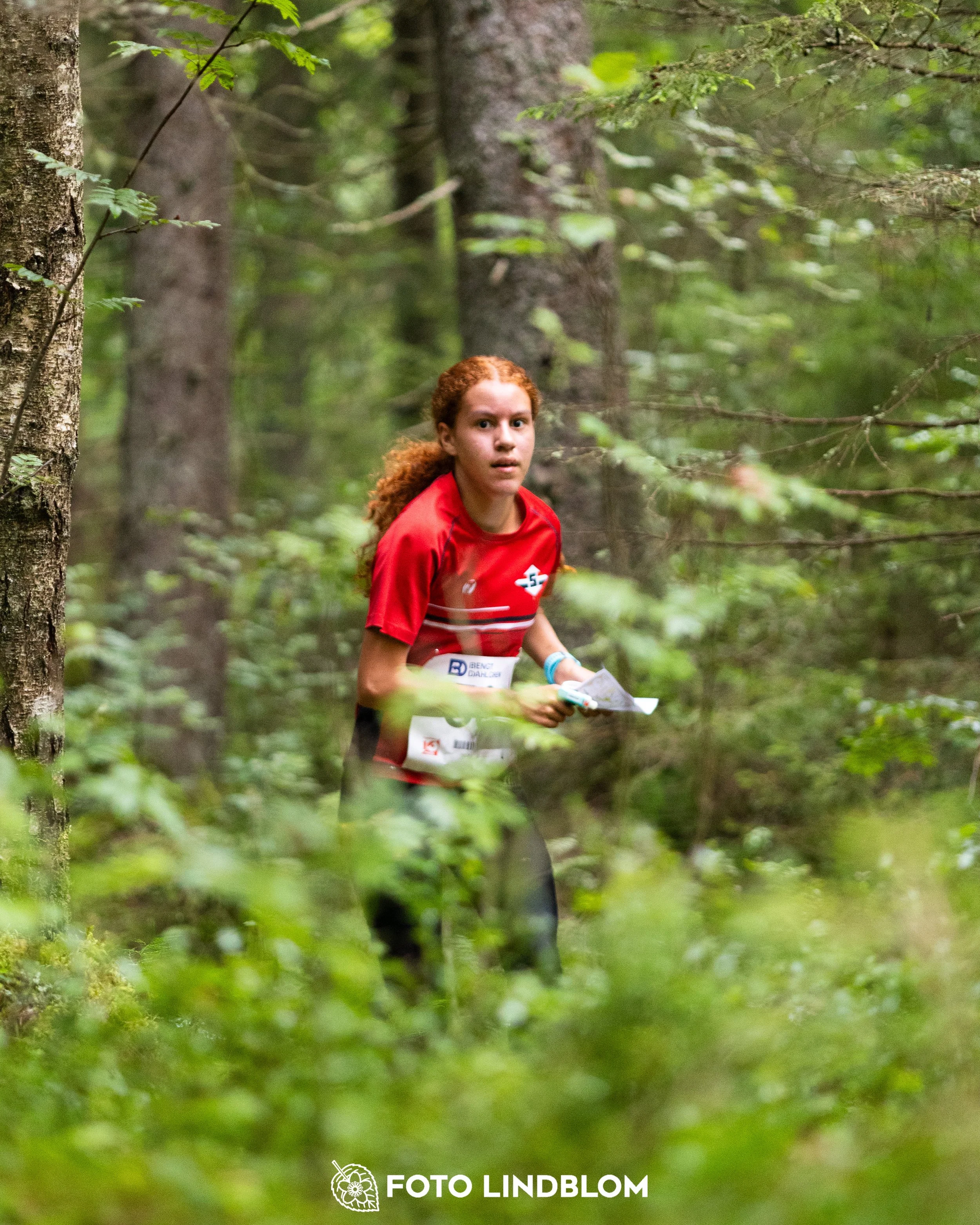 A picture from the youth 10 mila orienteering competition taken by Foto Lindblom