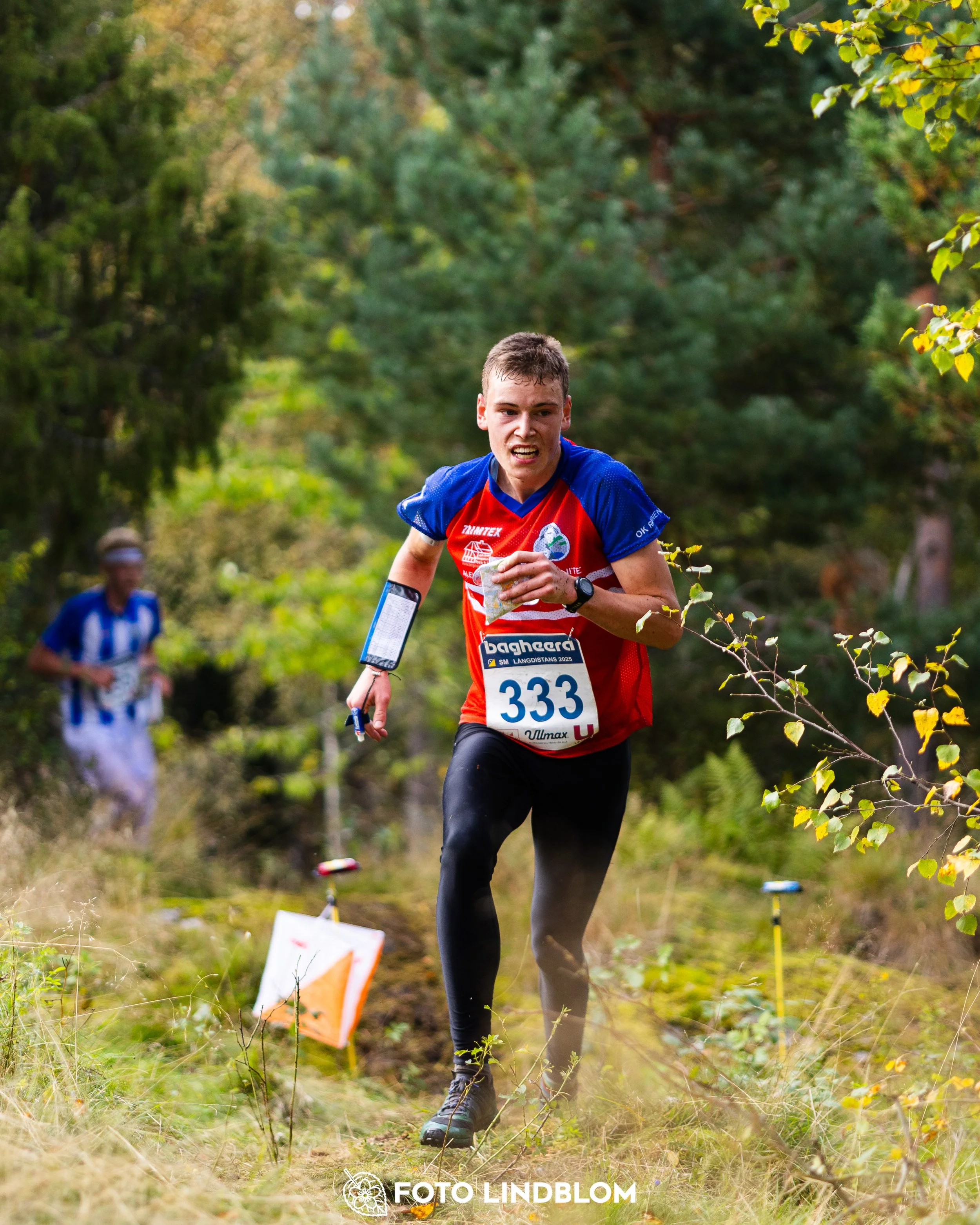A picture from the Swedish national championship in long distance orienteering and Swedish league race taken by Foto Lindblom