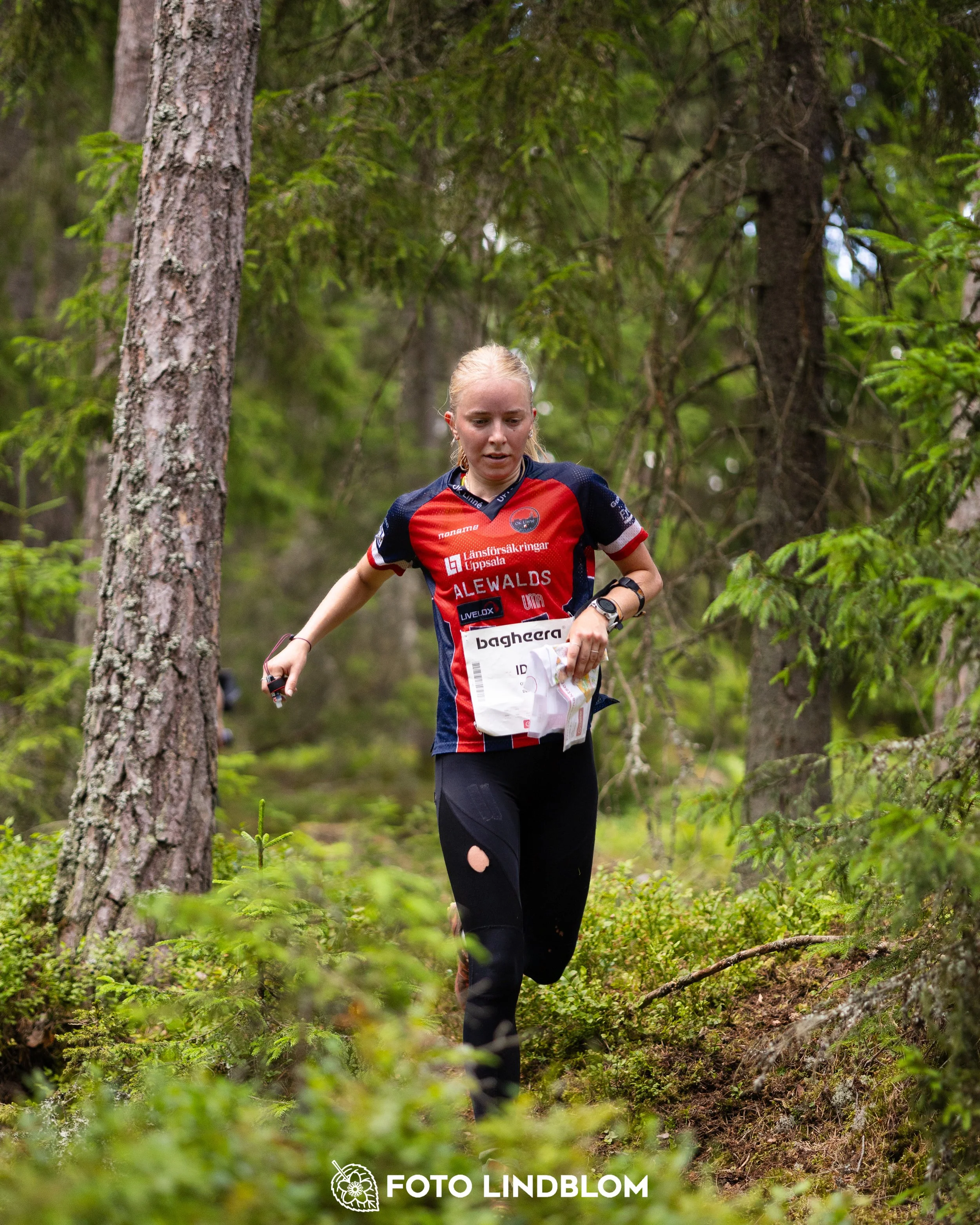 A picture from the second stage of Oringen 2025