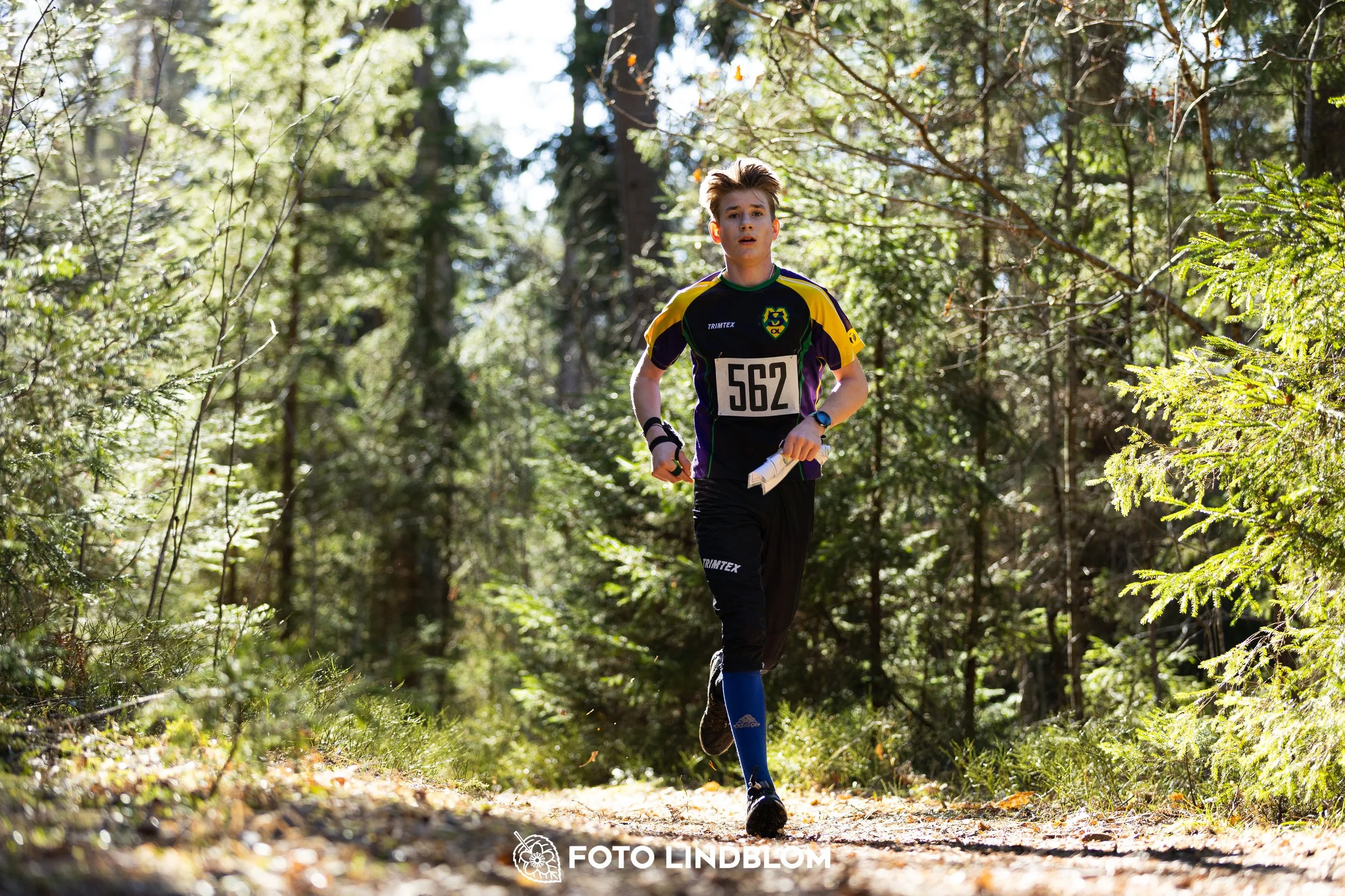 This picture shows competitors during Nyköpingsorienteringen 2026 navigating through forest terrain, photographed by Foto Lindblom.