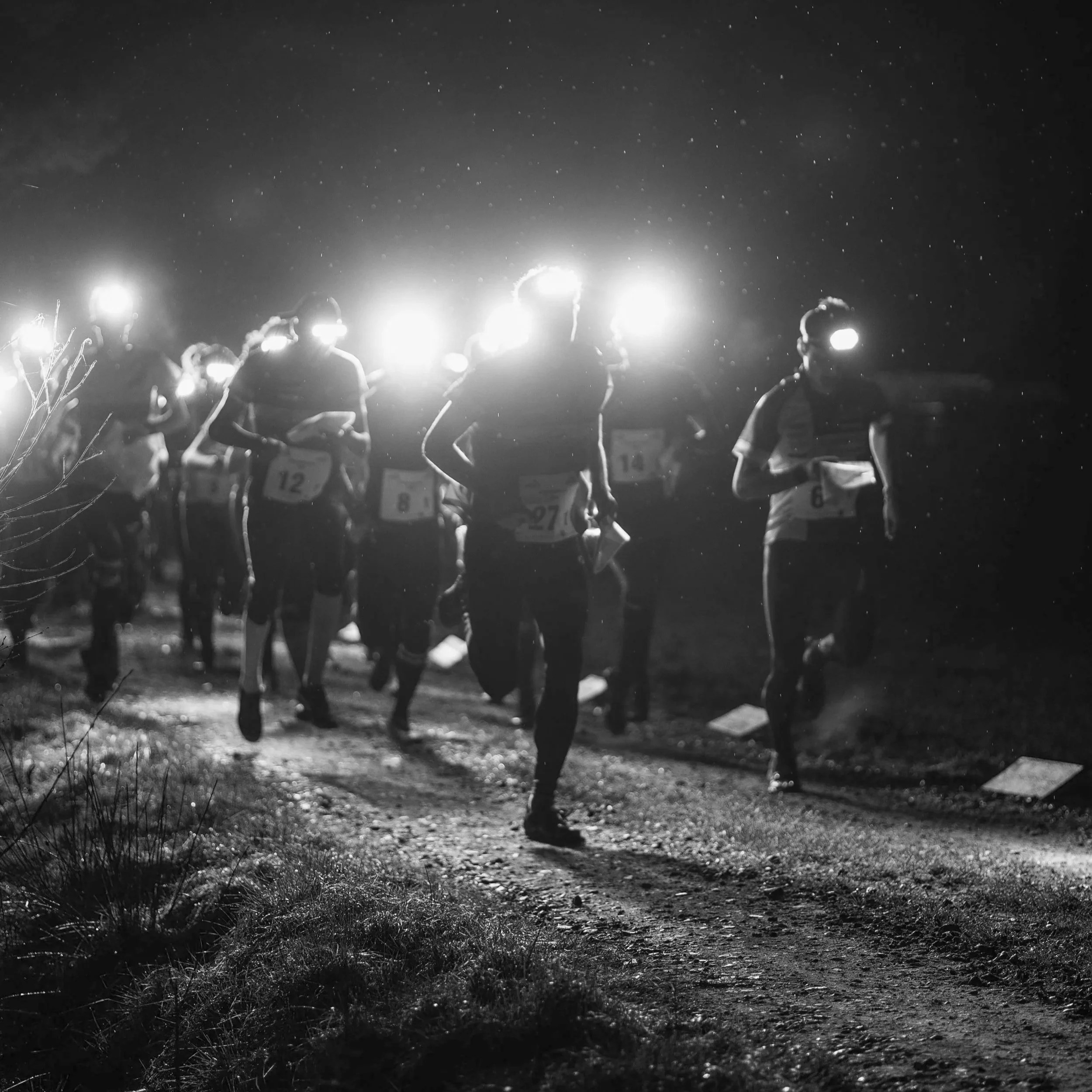 Stigtomtakavlen 2025