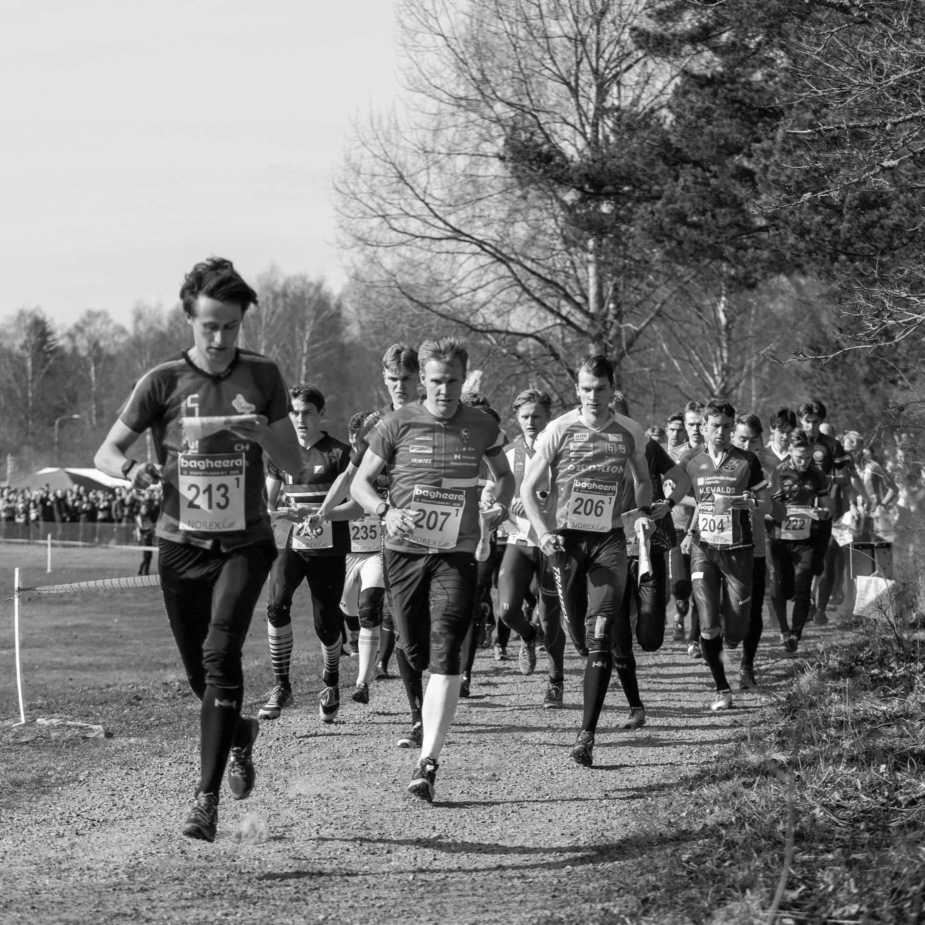 Måsen Staffeten 2025