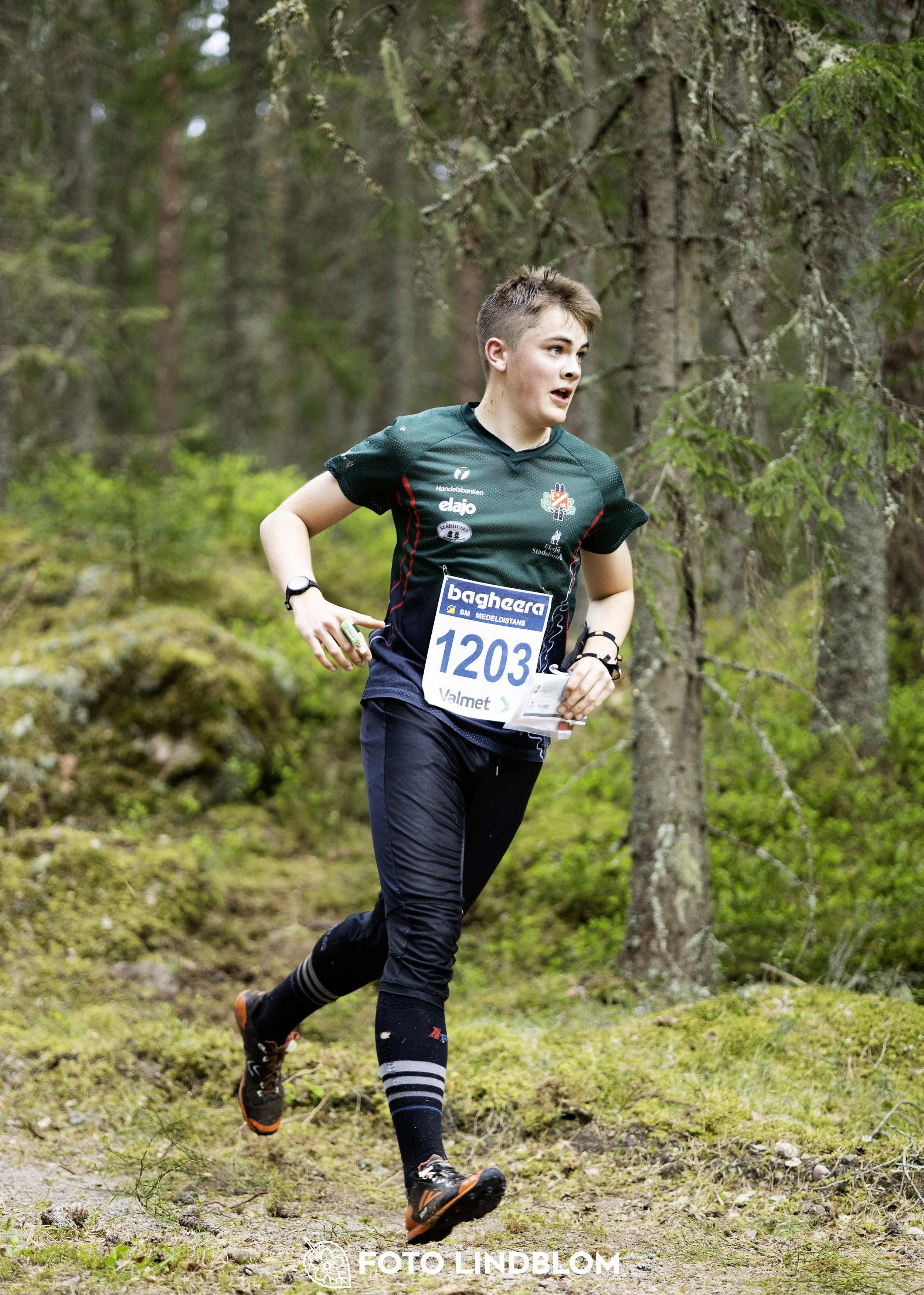 A picture from the Swedish national championship in middle distance orienteering and Swedish league race