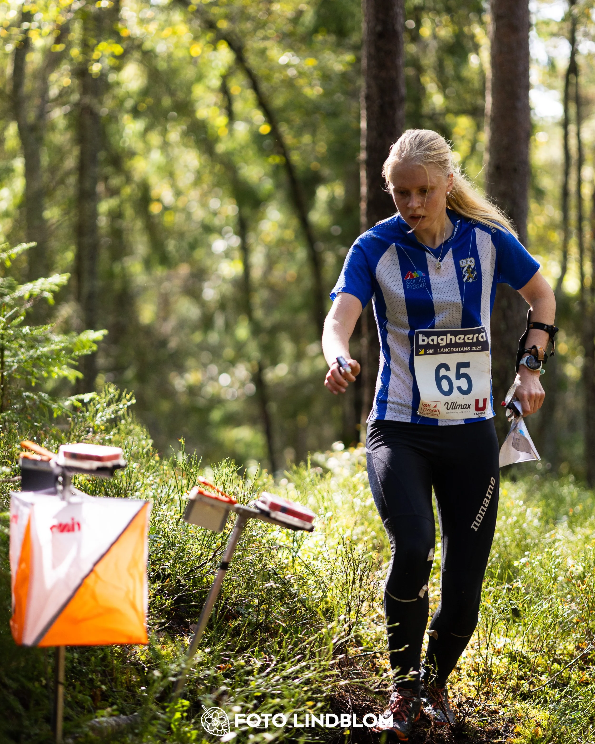 A picture from the Swedish national championship in long distance orienteering and Swedish league race taken by Foto Lindblom