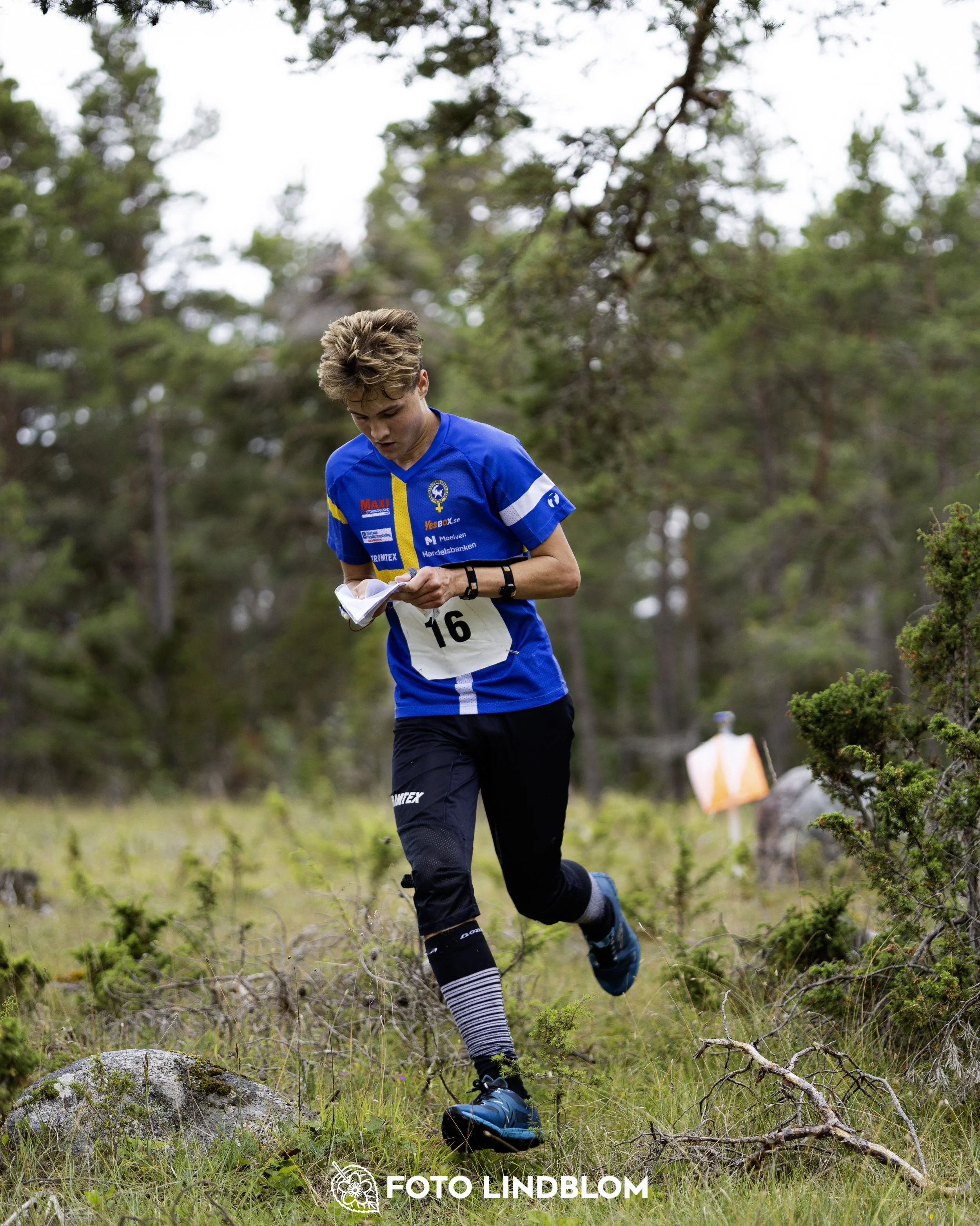 A picture from the Gotlands 2-Dagars orienteering competition