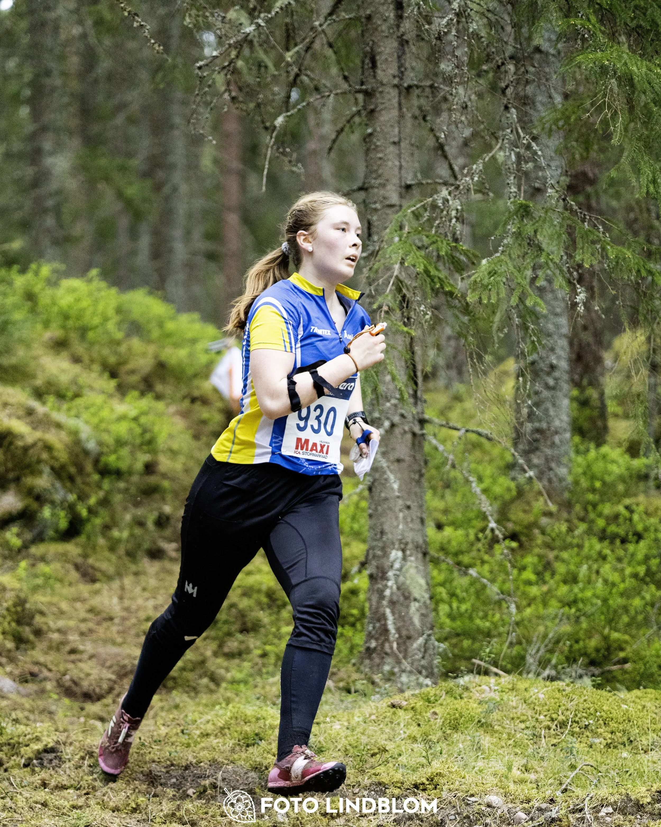 A picture from the Swedish national championship in middle distance orienteering and Swedish league race