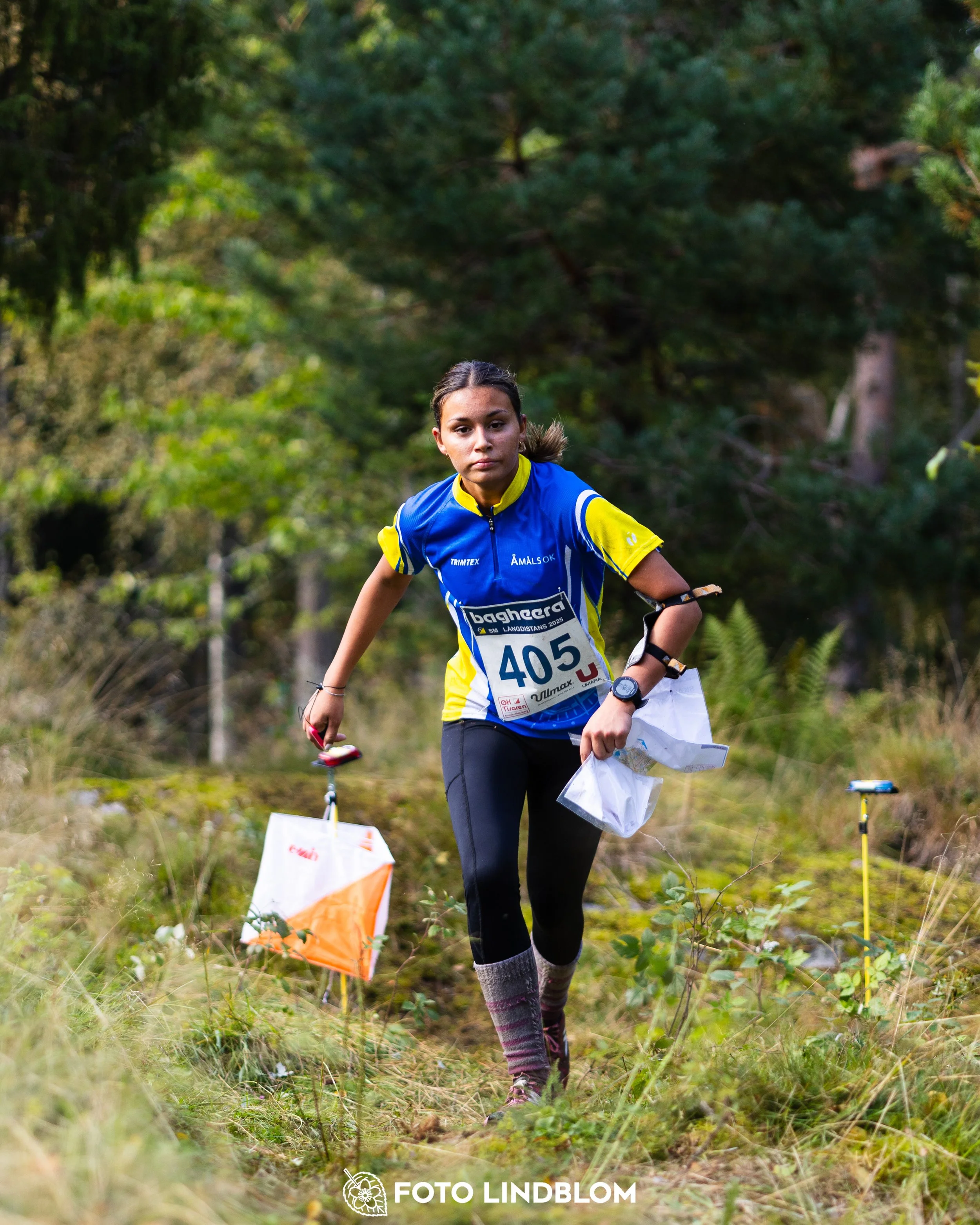A picture from the Swedish national championship in long distance orienteering and Swedish league race taken by Foto Lindblom